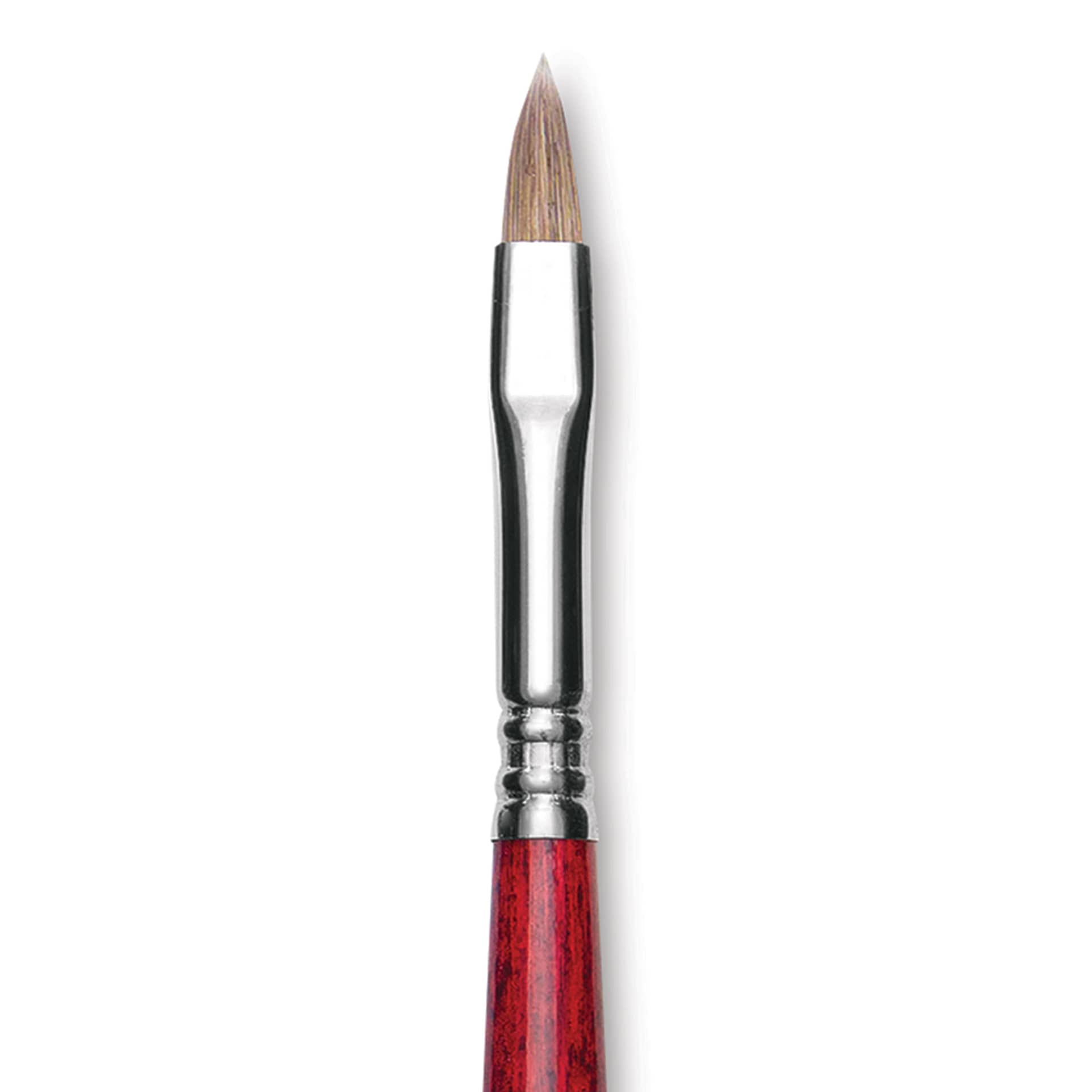 Escoda Opera Takatsu Synthetic Brush - Filbert, Long Handle, Size 10 (Close-up of brush)
