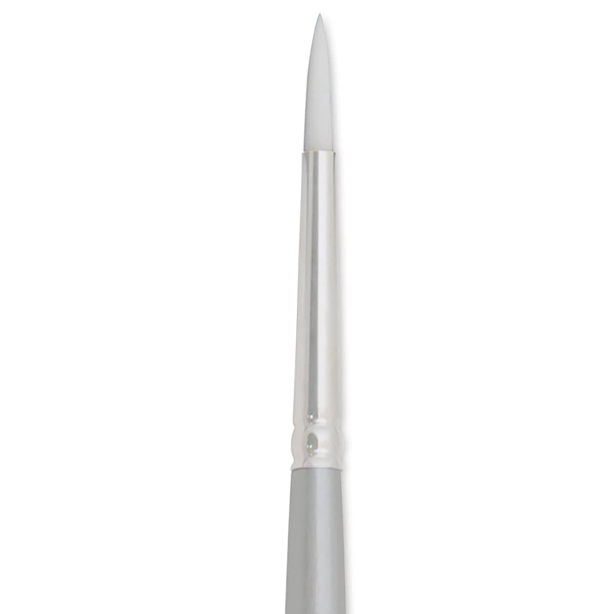 Silver Brush Silverwhite Synthetic Brush - Round, Long Handle, Size 2 close up