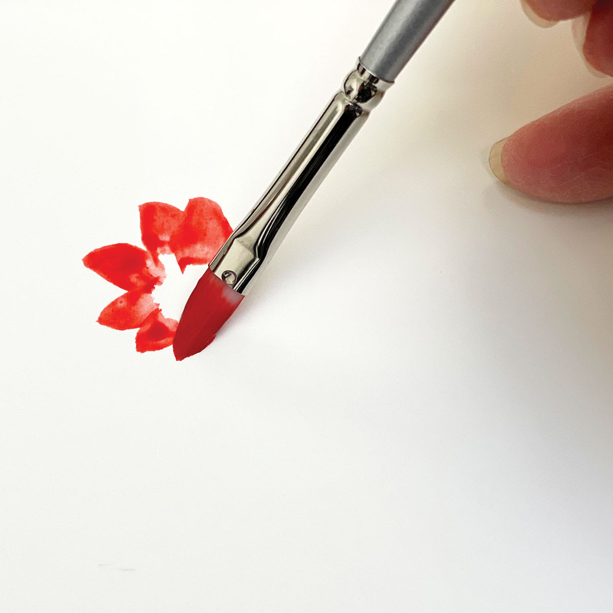 Silverwhite Soft Synthetic Brush - Closeup of Filbert Brush used to paing a red flower