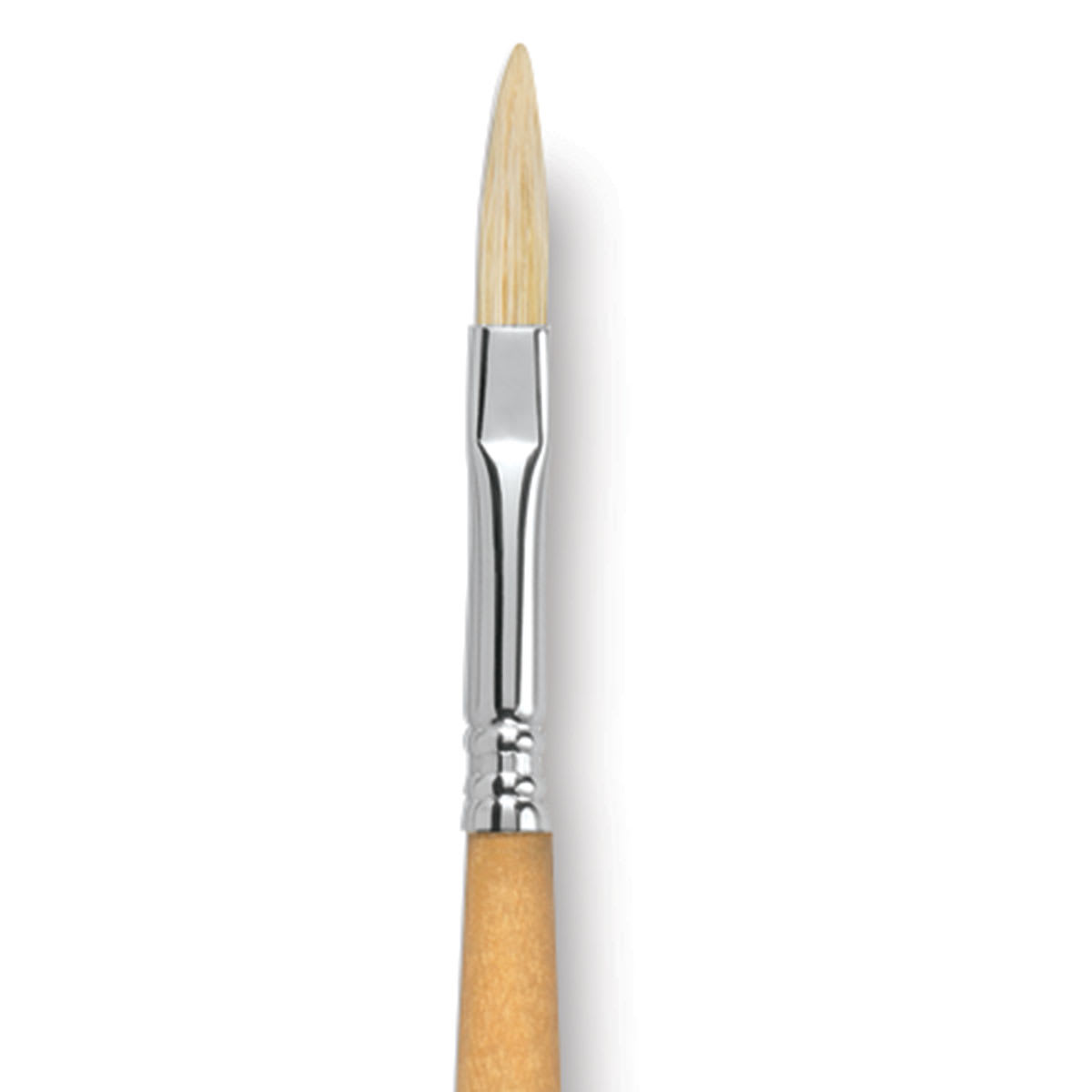 Escoda Clasico Chungking White Bristle Brush - Long Filbert, Long Handle, Size 8 close up