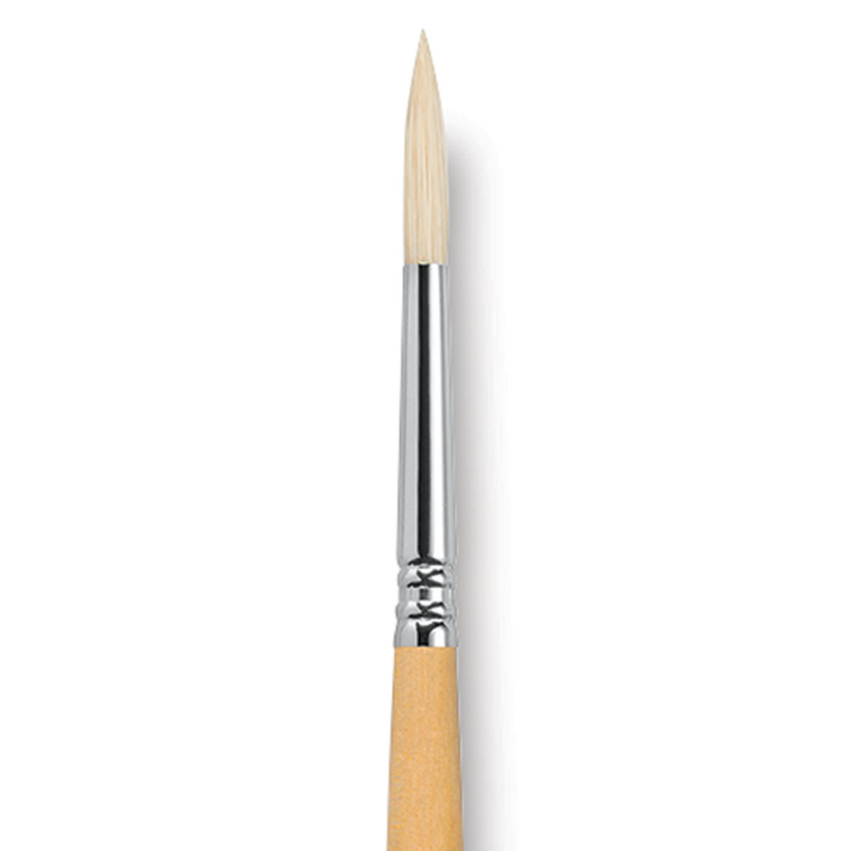 Escoda Clasico Chungking White Bristle Brush - Round, Long Handle, Size 8 close up