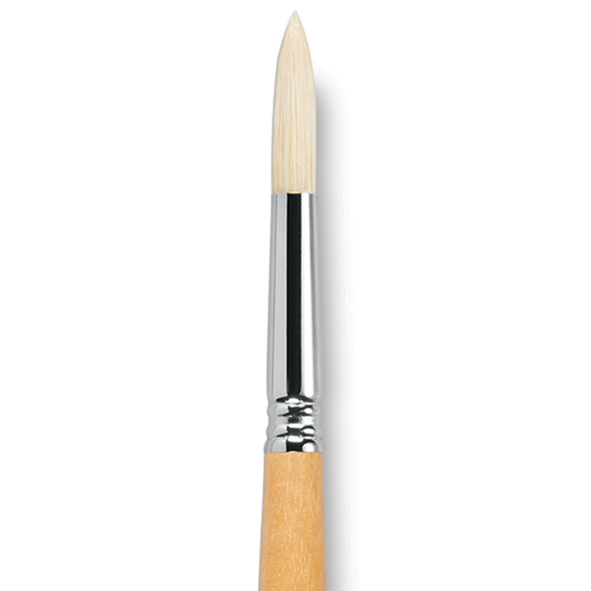 Escoda Clasico Chungking White Bristle Brush - Round, Long Handle, Size 14 close up