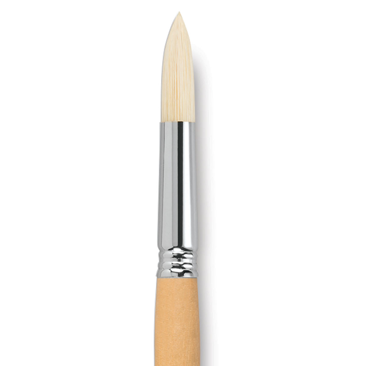 Escoda Clasico Chungking White Bristle Brush - Round, Long Handle, Size 18 close up
