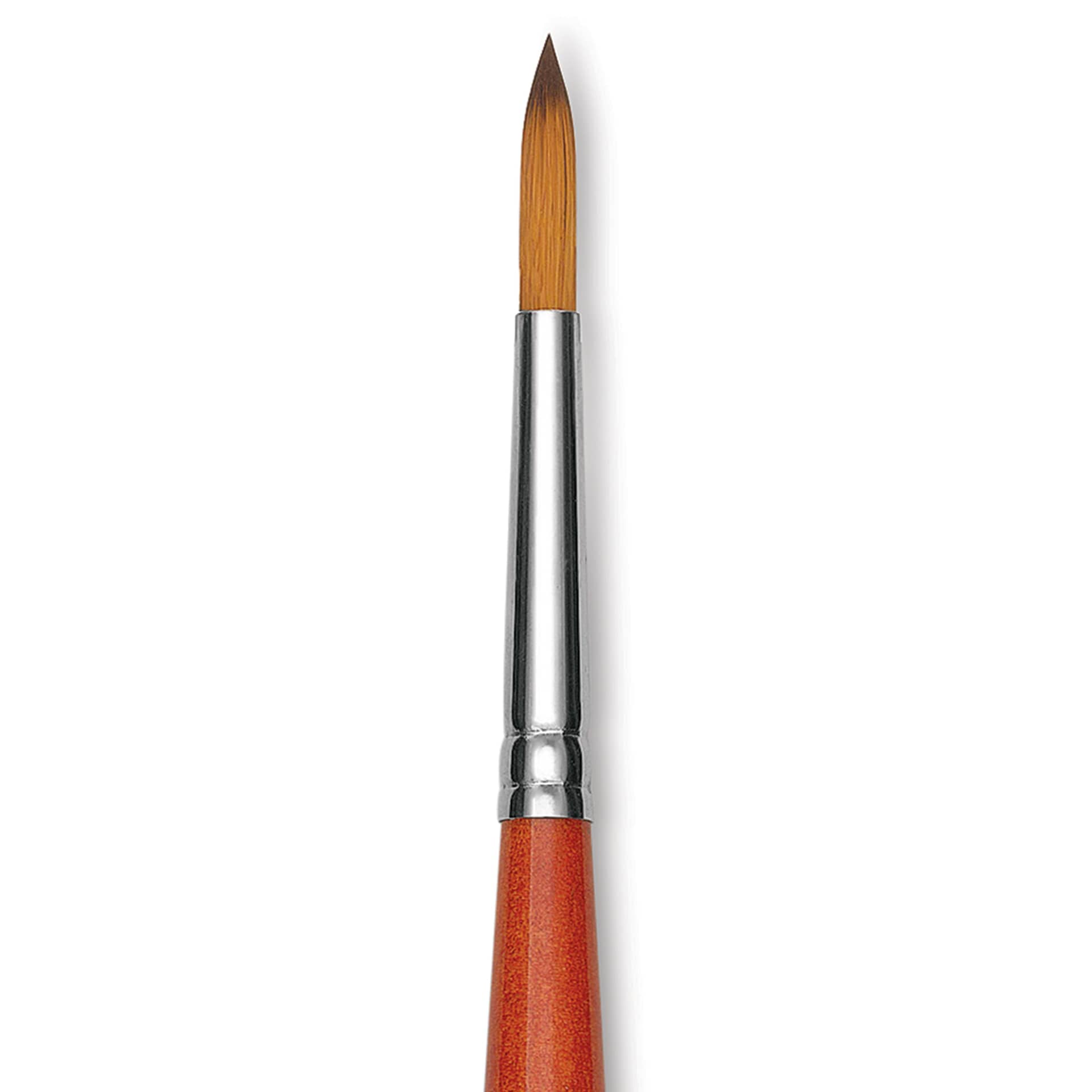 Raphael Golden Kaerell Brush - Round, Long Handle, Size 12, close-up