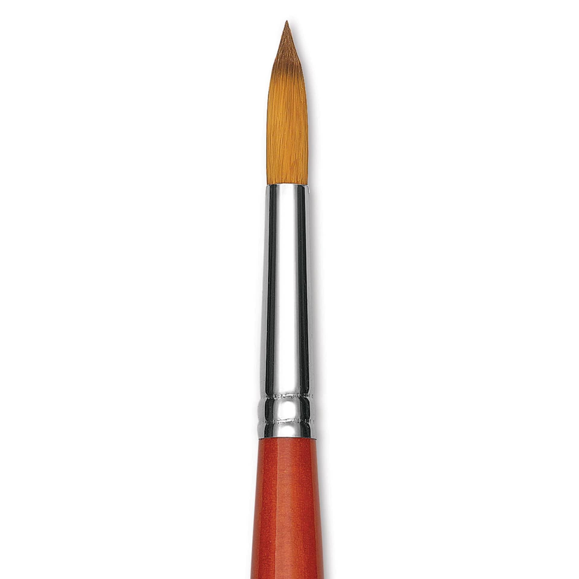 Raphael Golden Kaerell Brush - Round, Long Handle, Size 20, close-up