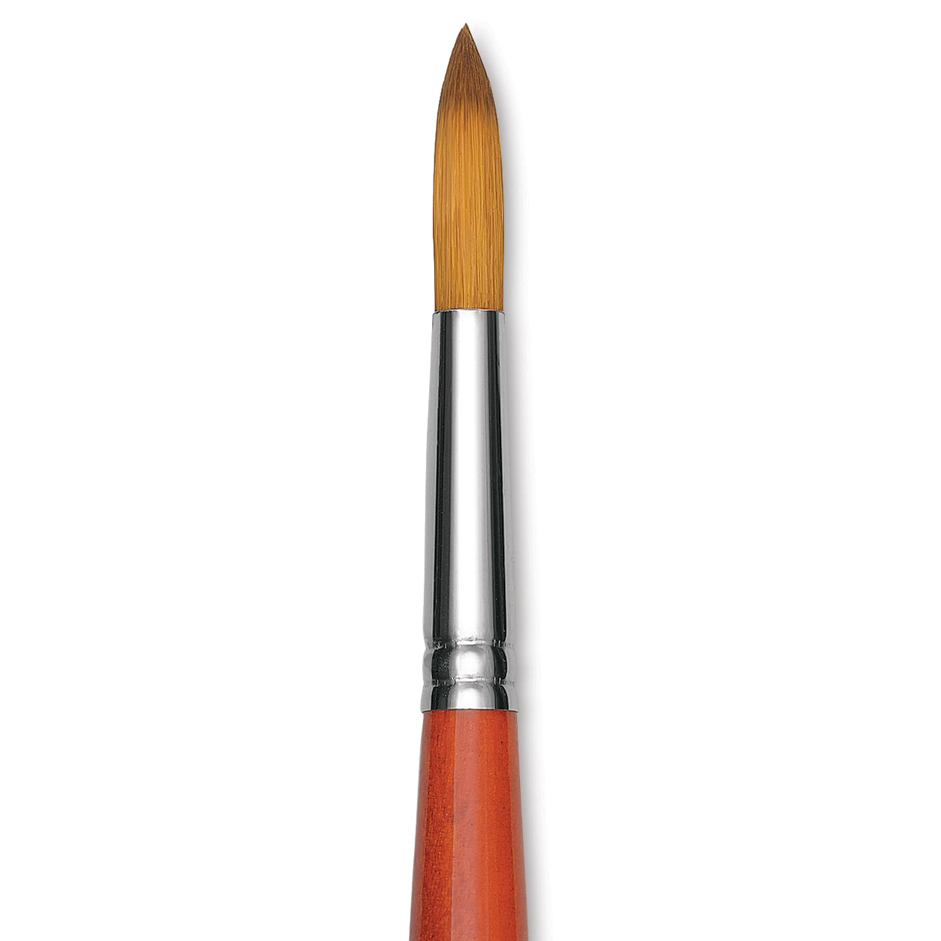 Raphael Golden Kaerell Brush - Round, Long Handle, Size 24, close-up
