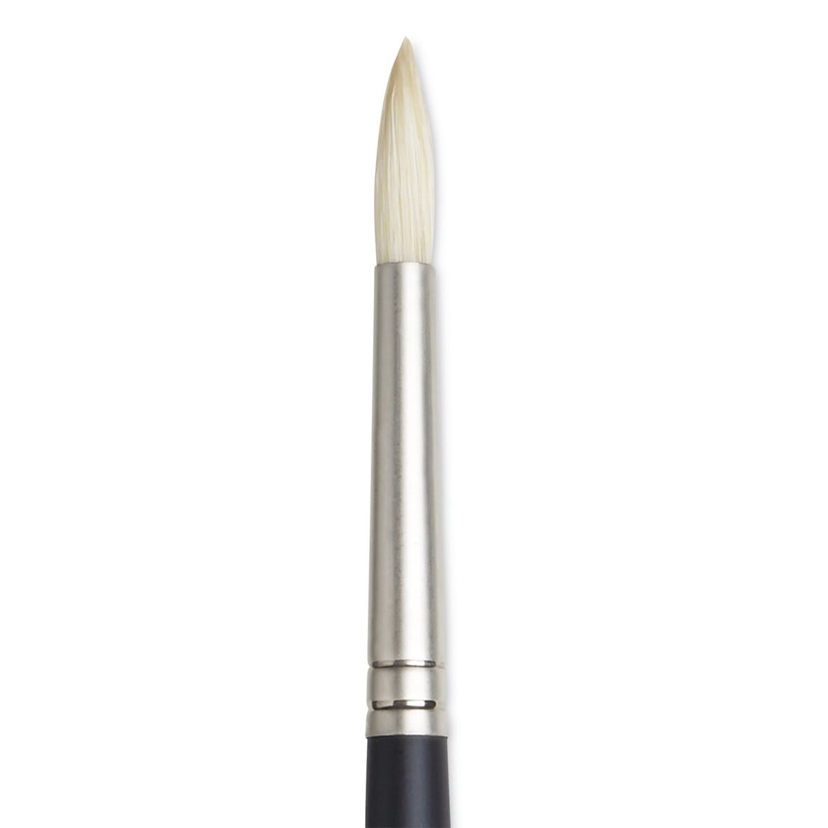 Winsor & Newton Artists' Oil Brush - Round, Long Handle, Size 4 close up