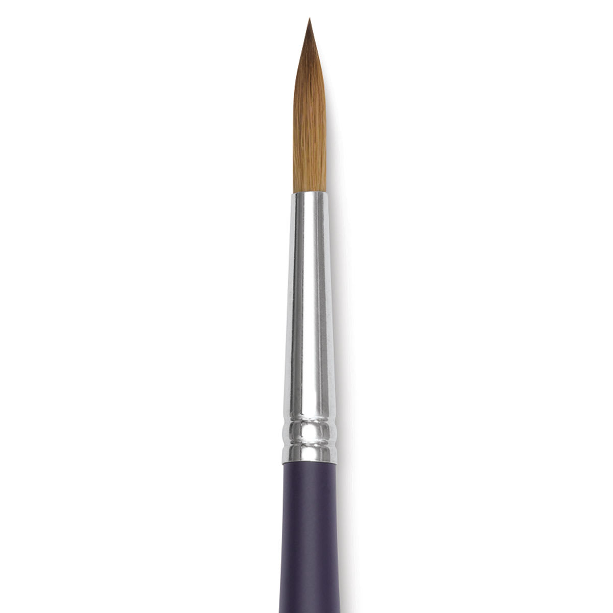 Winsor & Newton Artists' Kolinsky Sable Watercolor Brush - Round, Short Handle, Size 7 close up
