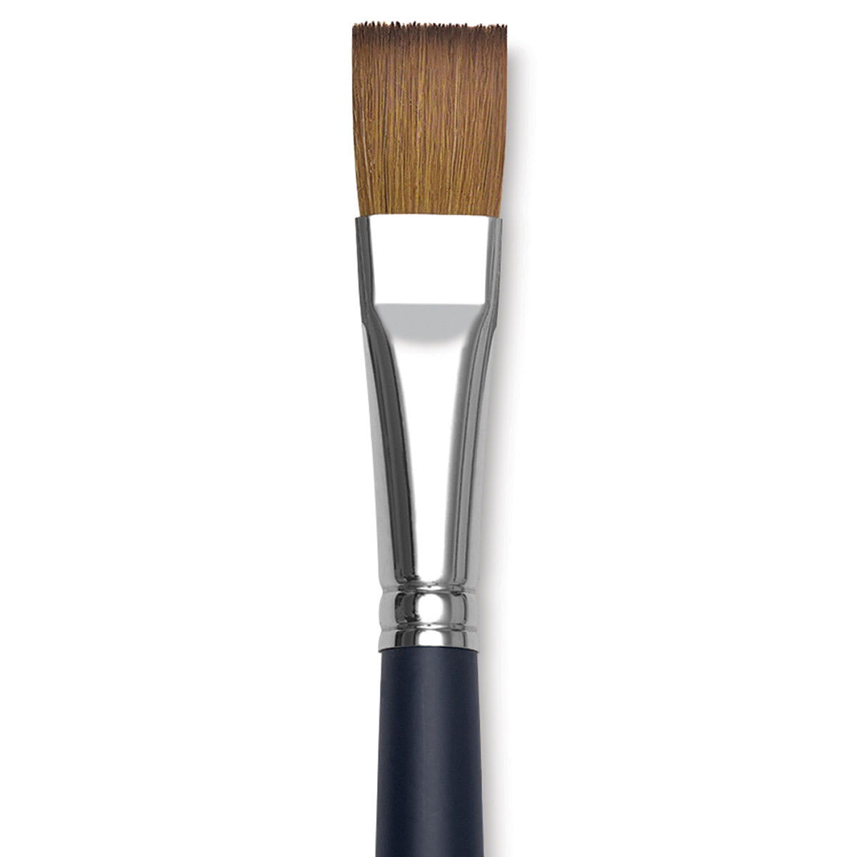 Winsor & Newton Artists' Kolinsky Sable Watercolor Brush - One-Stroke, Short Handle, Size 1/2" close up