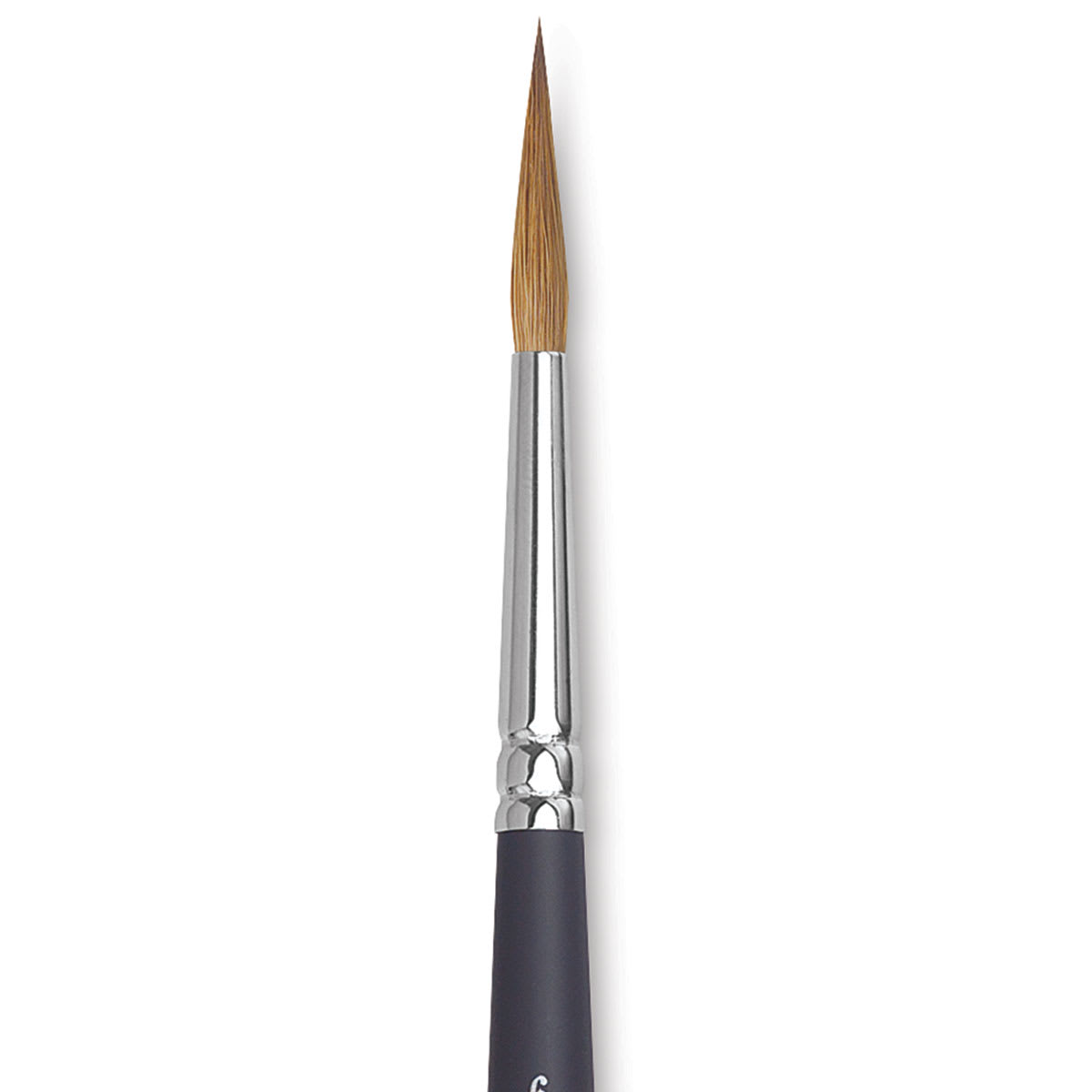 Winsor & Newton Artists' Kolinsky Sable Watercolor Brush - Pointed Round, Short Handle, Size 6 close up