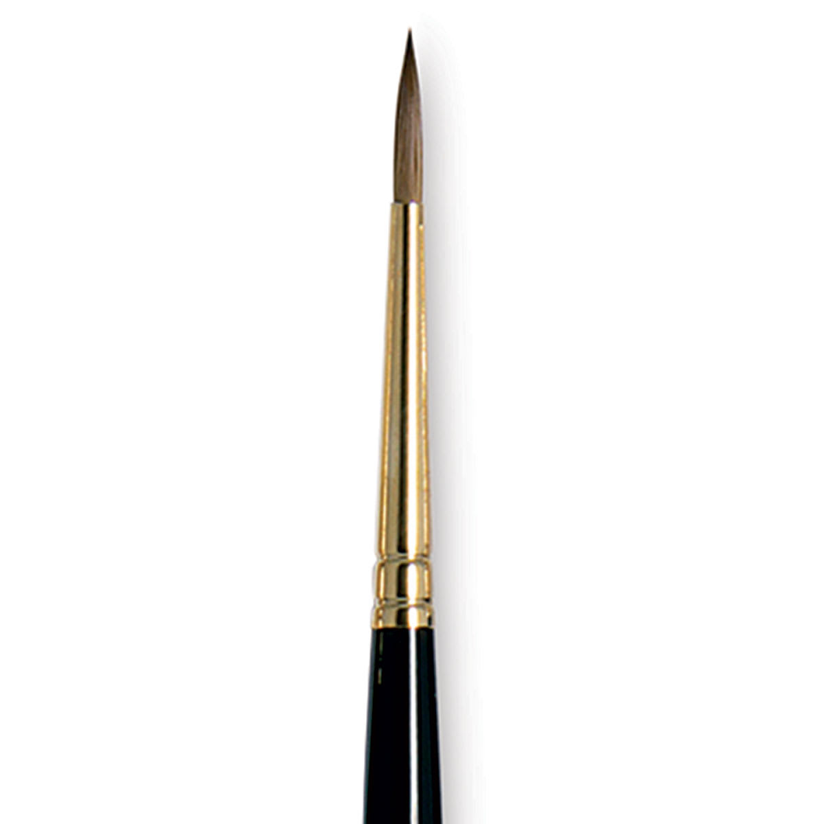 Da Vinci Maestro Kolinsky Brush - Full Belly Round, Short Handle, Size 1 close up