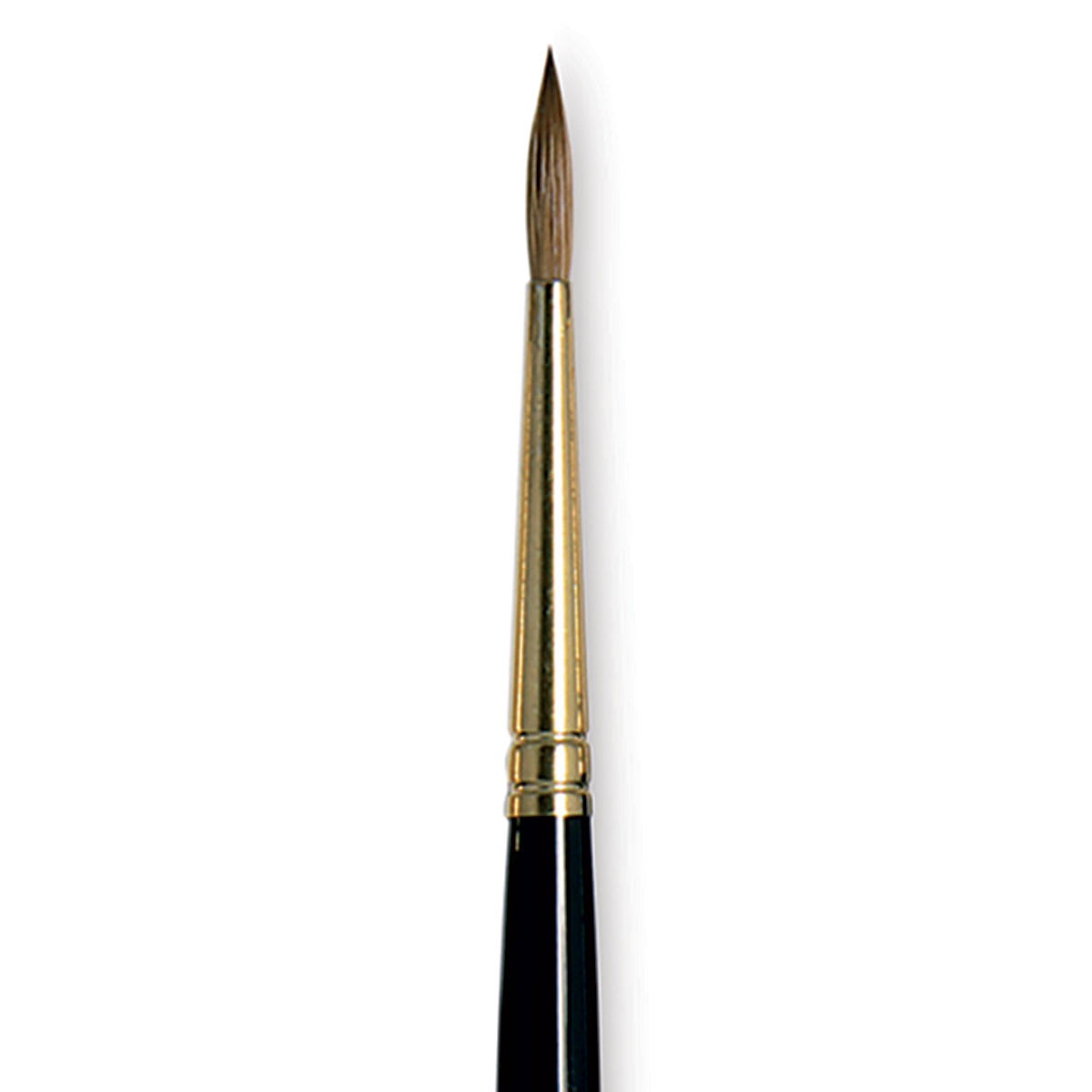 Da Vinci Maestro Kolinsky Brush - Full Belly Round, Short Handle, Size 2 close up
