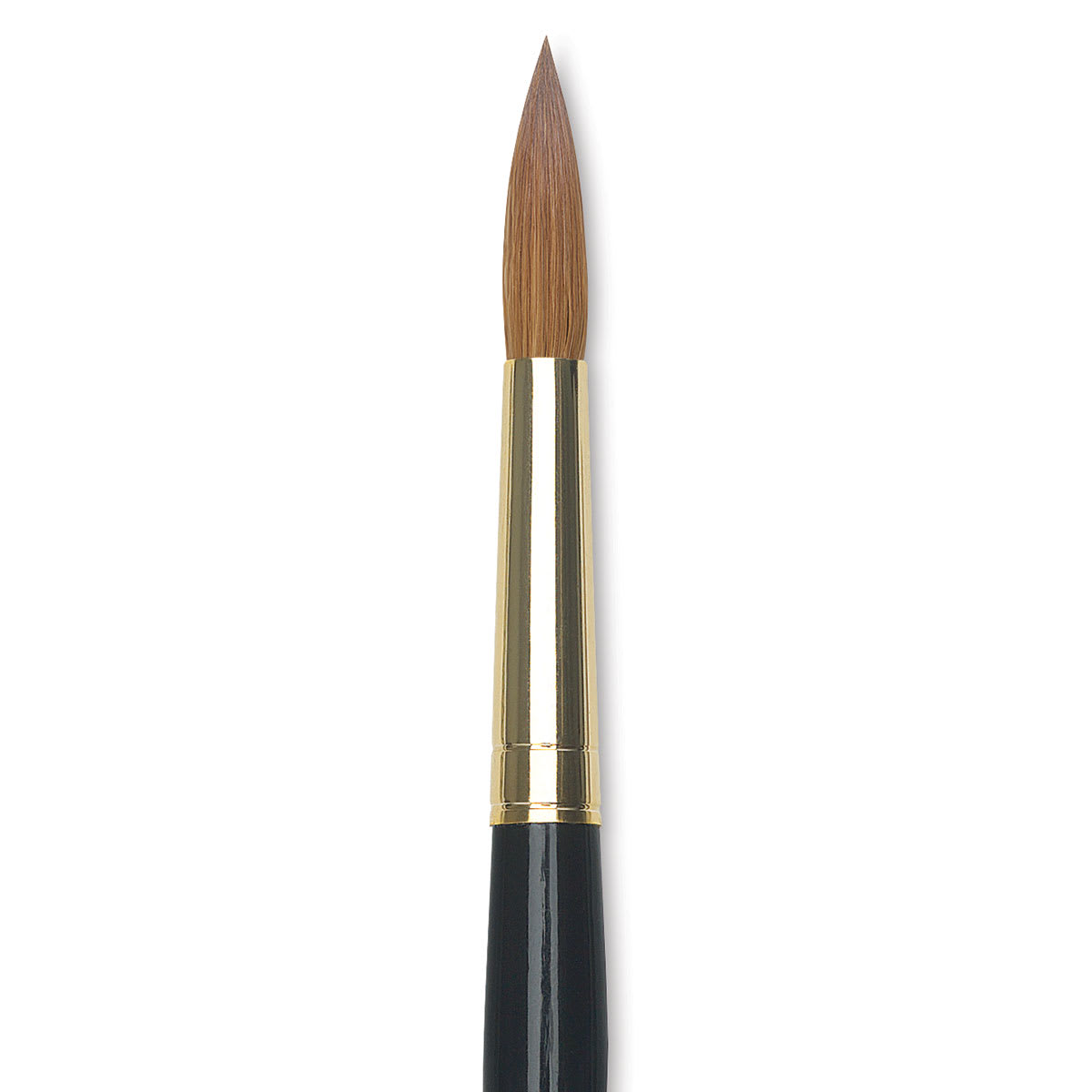 Da Vinci Maestro Kolinsky Brush - Full Belly Round, Short Handle, Size 12 close up