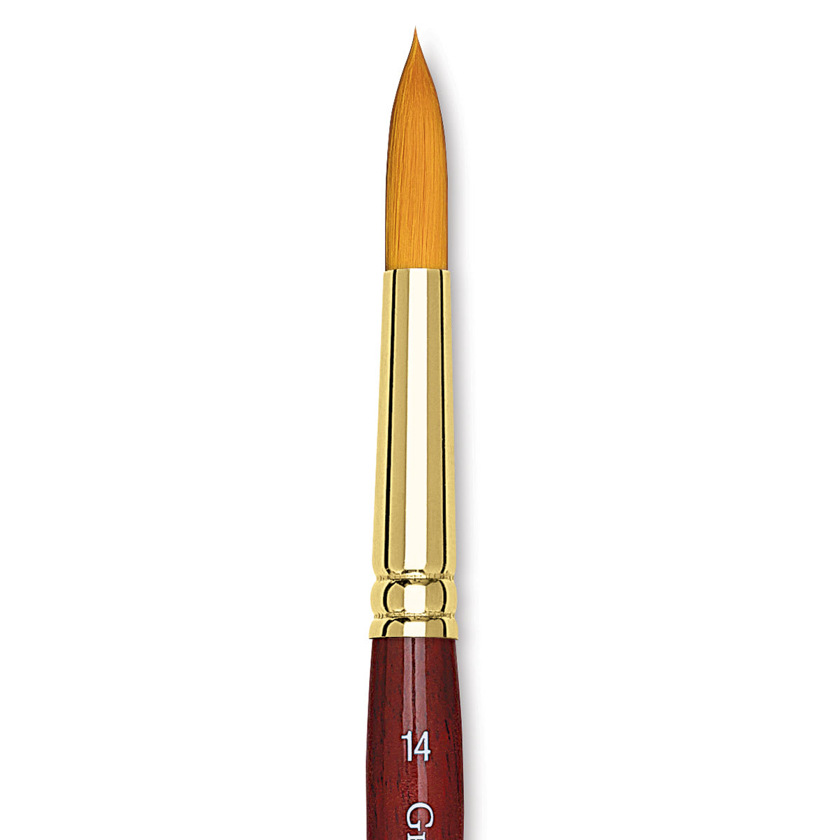 Grumbacher Goldenedge Brush - Round, Short Handle, Size 14 close up