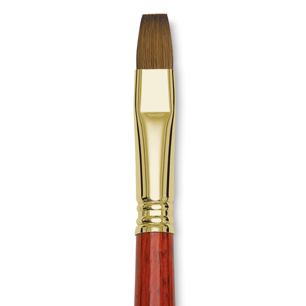Blick Master Kolinsky Sable Brush - Bright, Short Handle, Size 12 close up