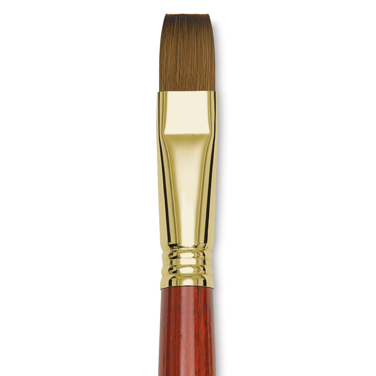 Blick Master Kolinsky Sable Brush - Bright, Short Handle, Size 16 close up