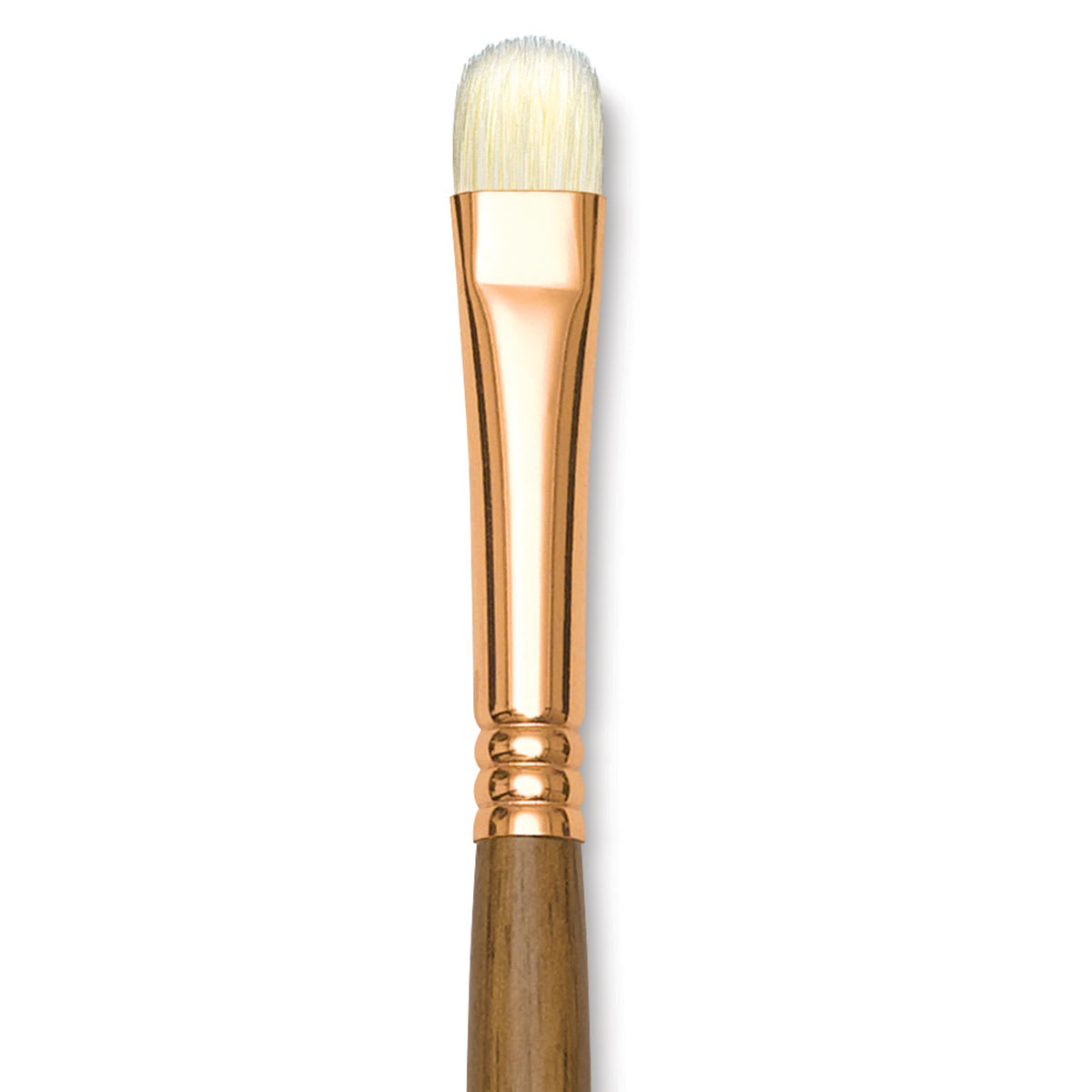 Princeton Best Natural Bristle Brush - Short Filbert, Long Handle, Size 6 close up