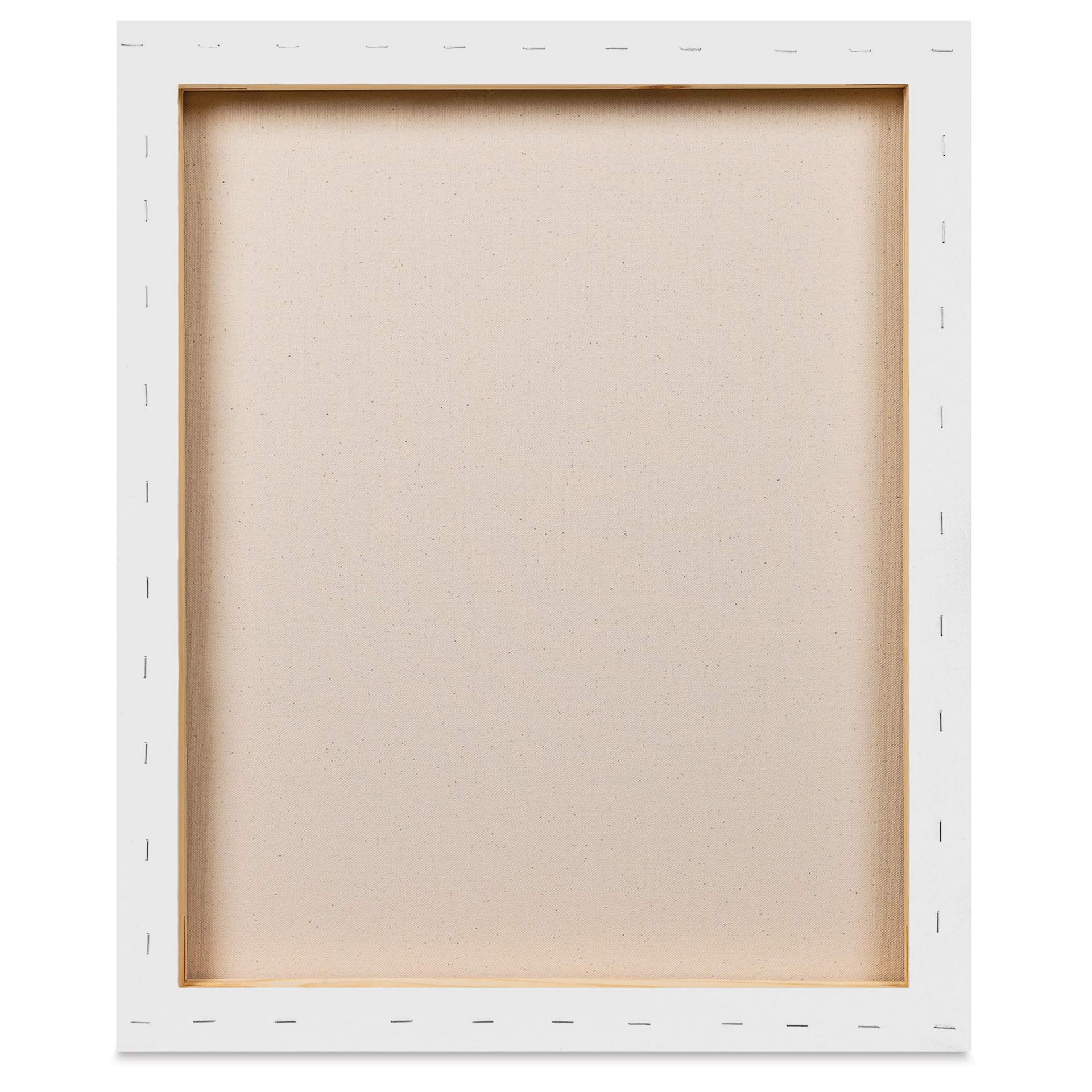 Blick Premier Stretched Cotton Canvas - Gallery Profile, Back-Stapled, 20" x 24" back