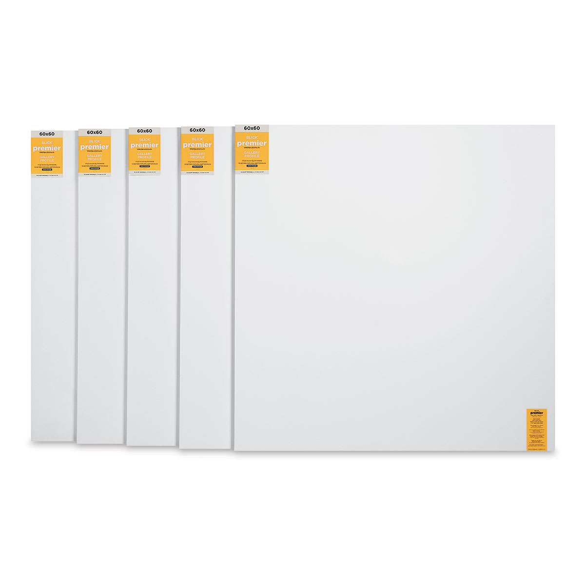 Blick Premier Stretched Cotton Canvas - Gallery Profile, Back-Stapled, 60" x 60", Pkg of 5 (five fronts)
