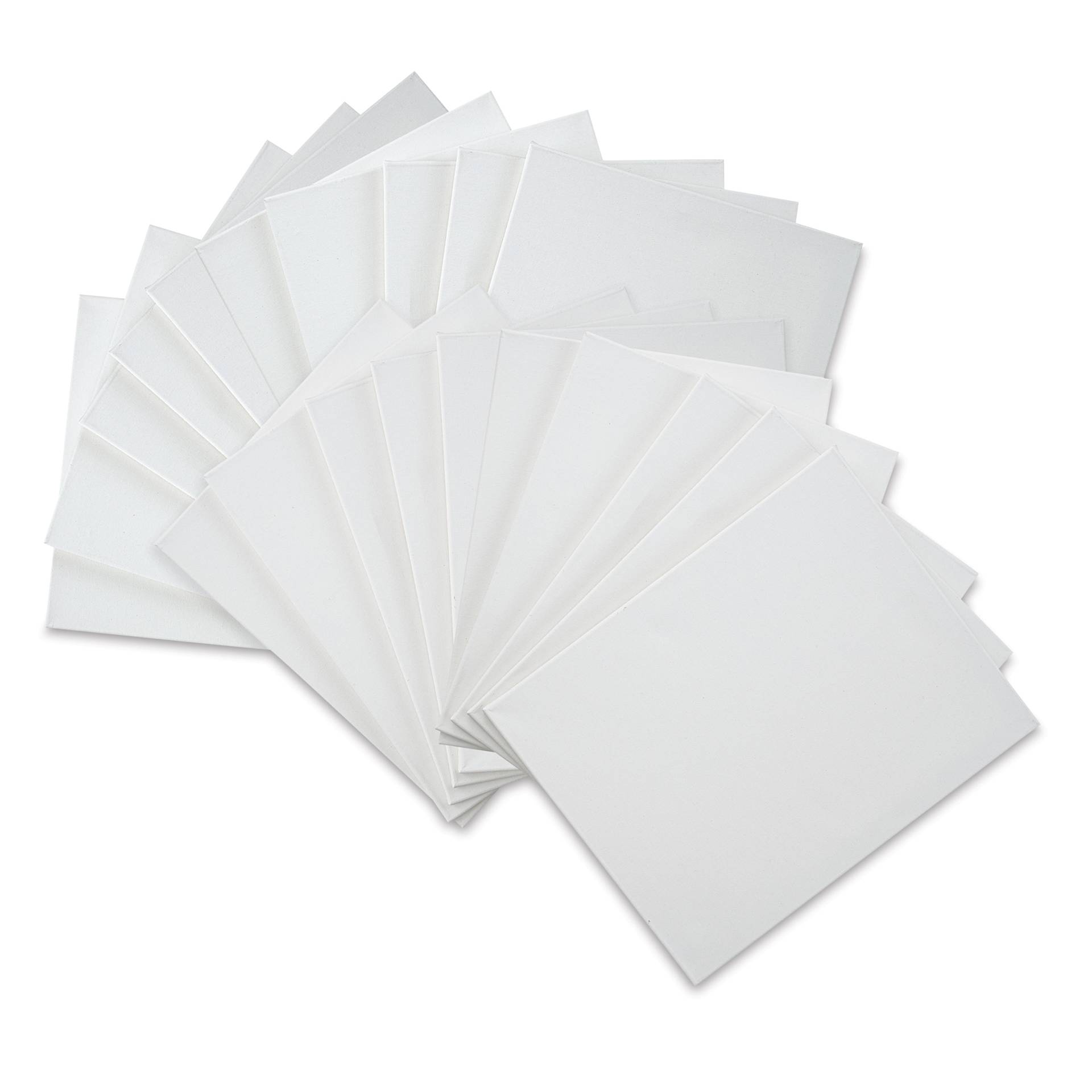 Blick Super Value Canvas Pack - 16" x 20", Pkg of 20 fanned out