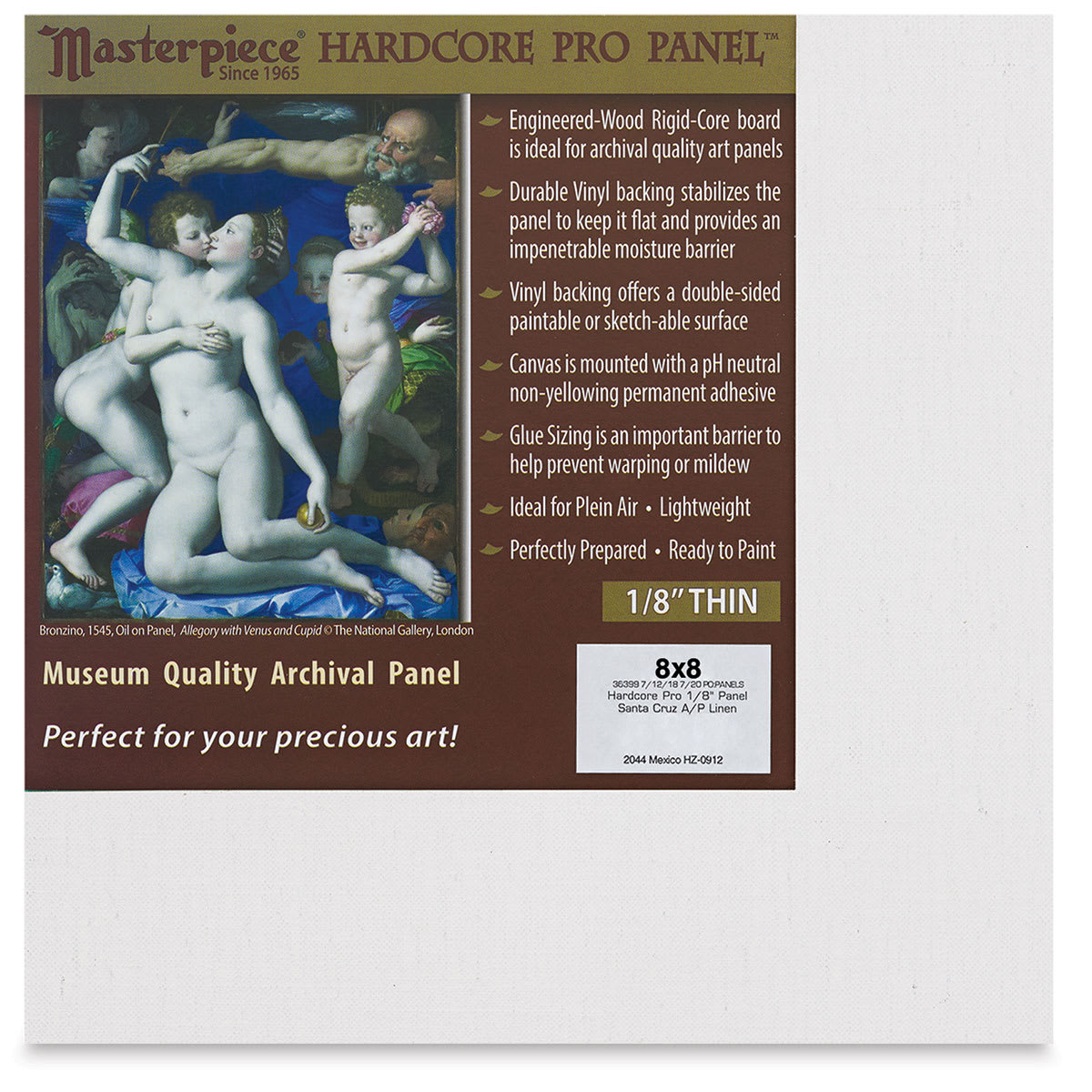 Masterpiece Santa Cruz Hardcore Pro Canvas Panel - 8" x 8"