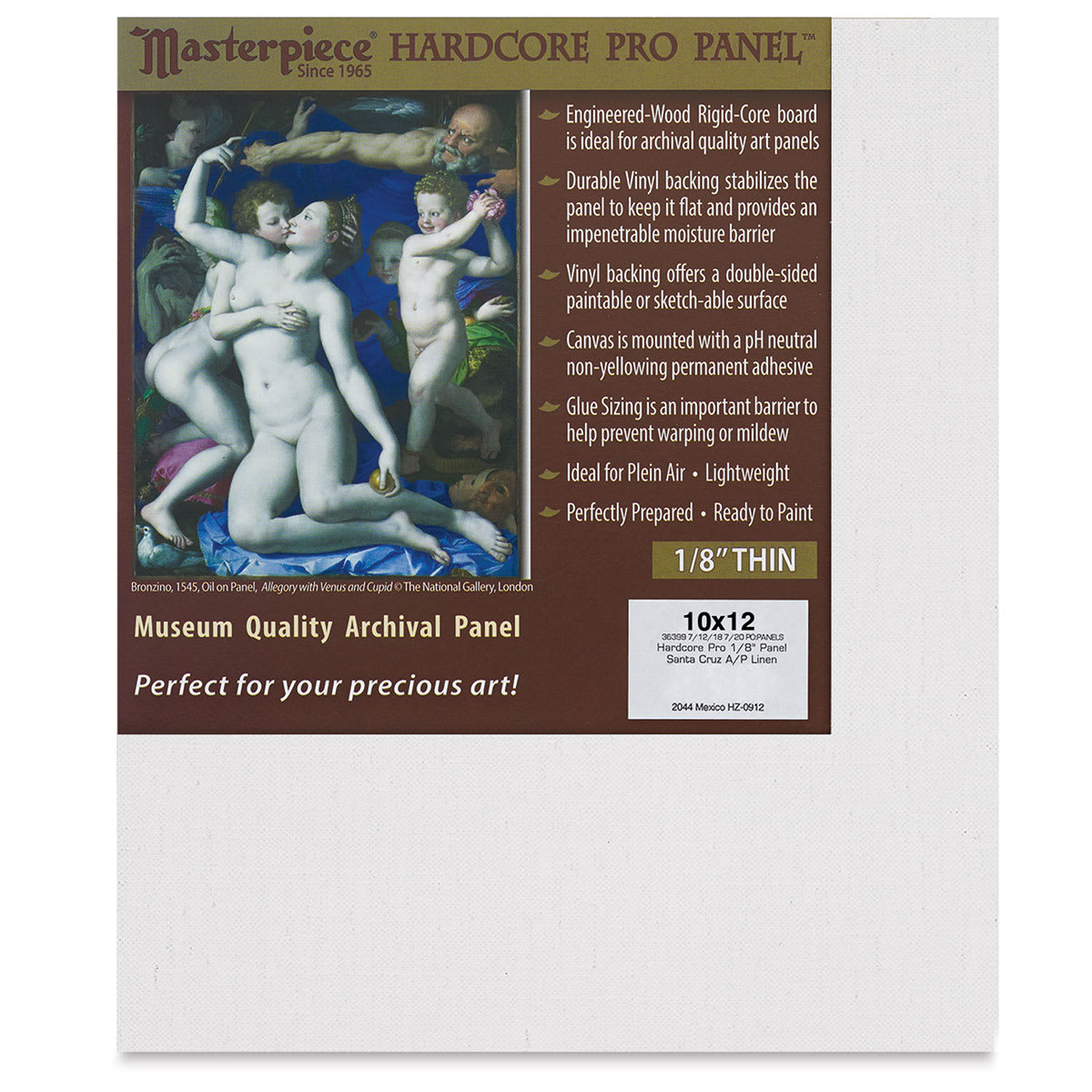 Masterpiece Santa Cruz Hardcore Pro Canvas Panel - 10" x 12"