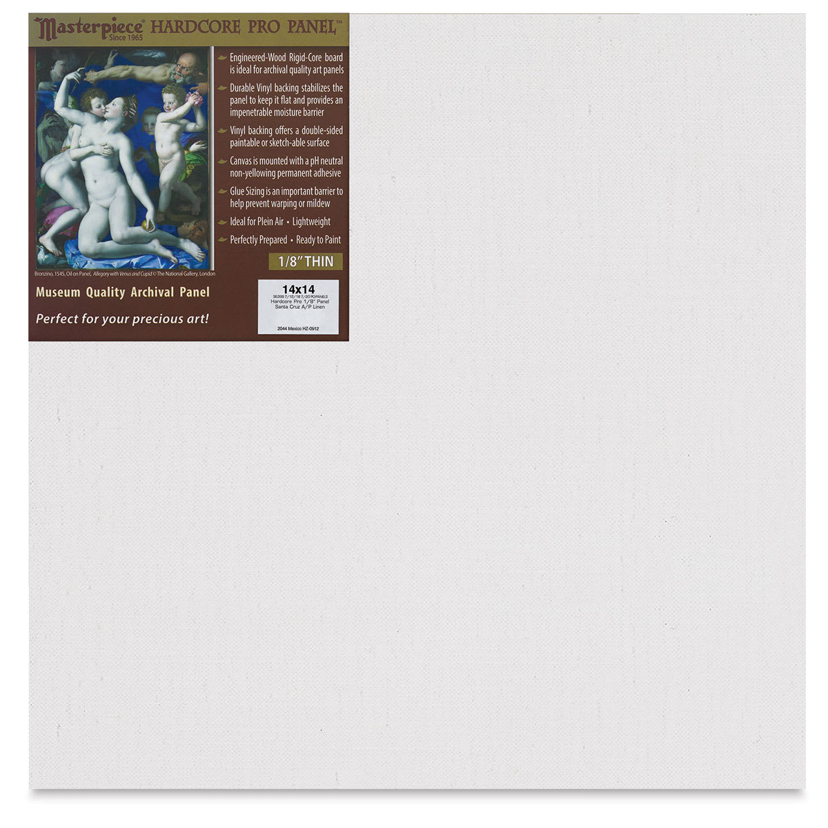 Masterpiece Santa Cruz Hardcore Pro Canvas Panel - 14" x 14"