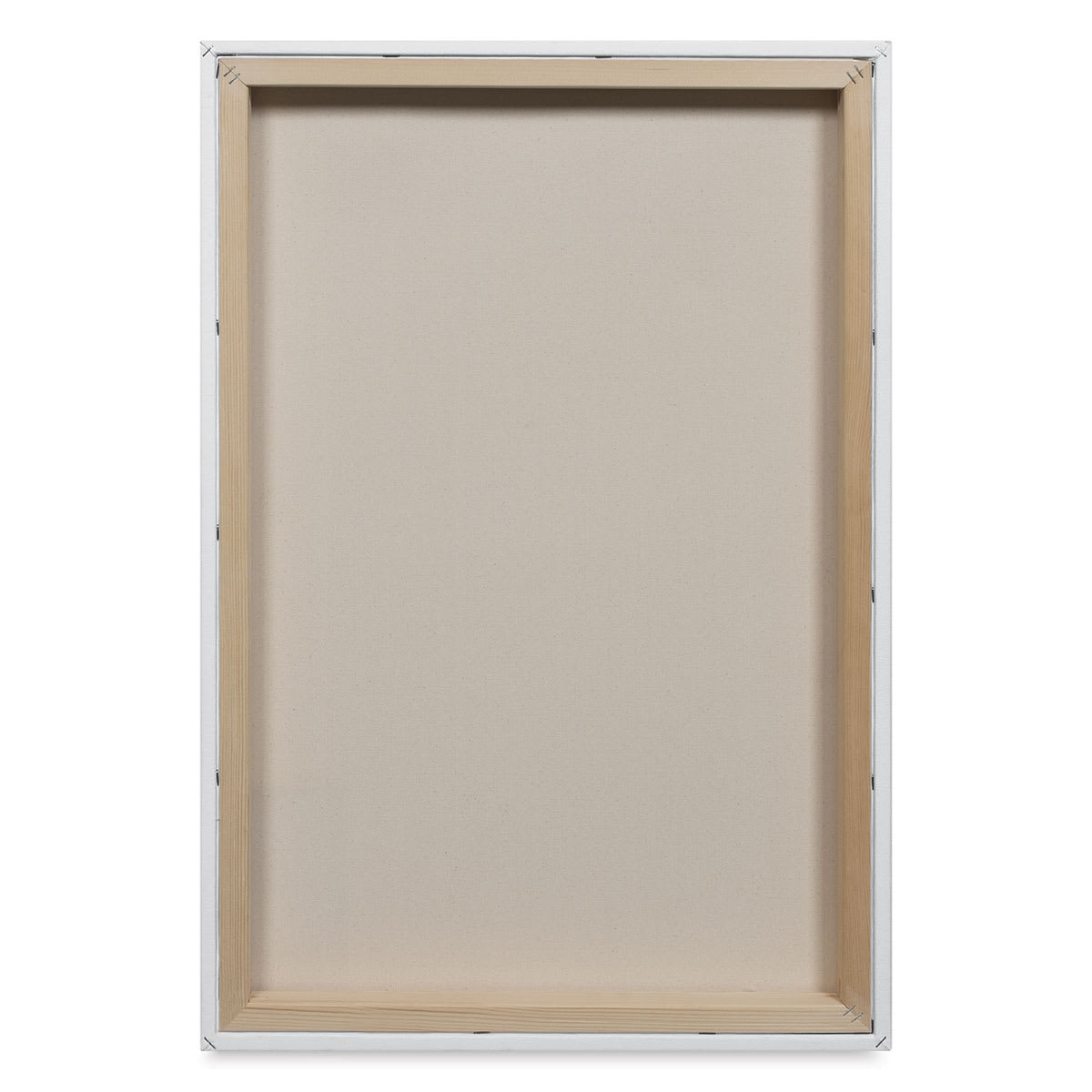 Blick Premier Stretched Cotton Canvas - Gallery Profile, Splined, 20" x 30" (back)