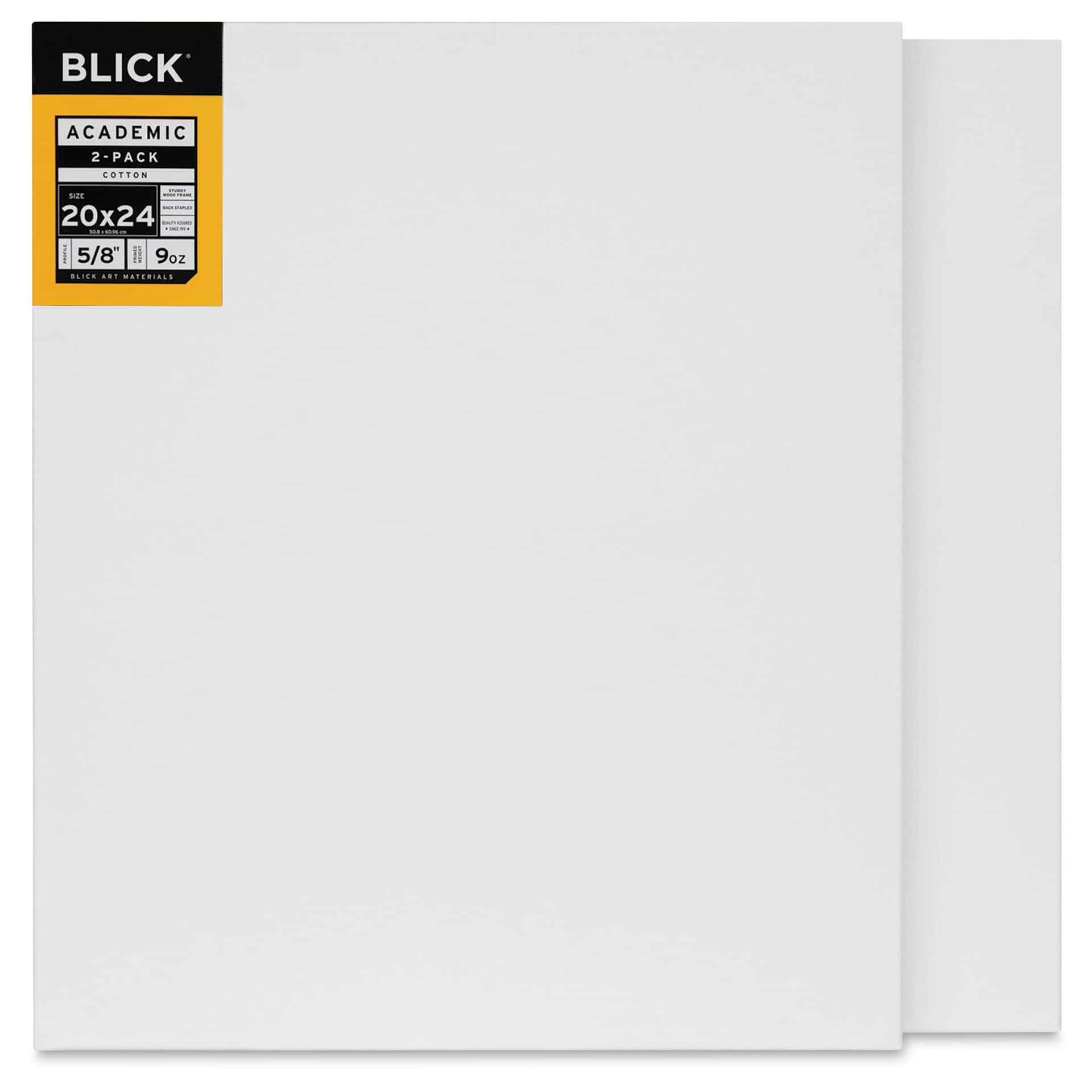 Blick Academic Cotton Stretched Canvas Pack - 20" x 24", Pkg of 2