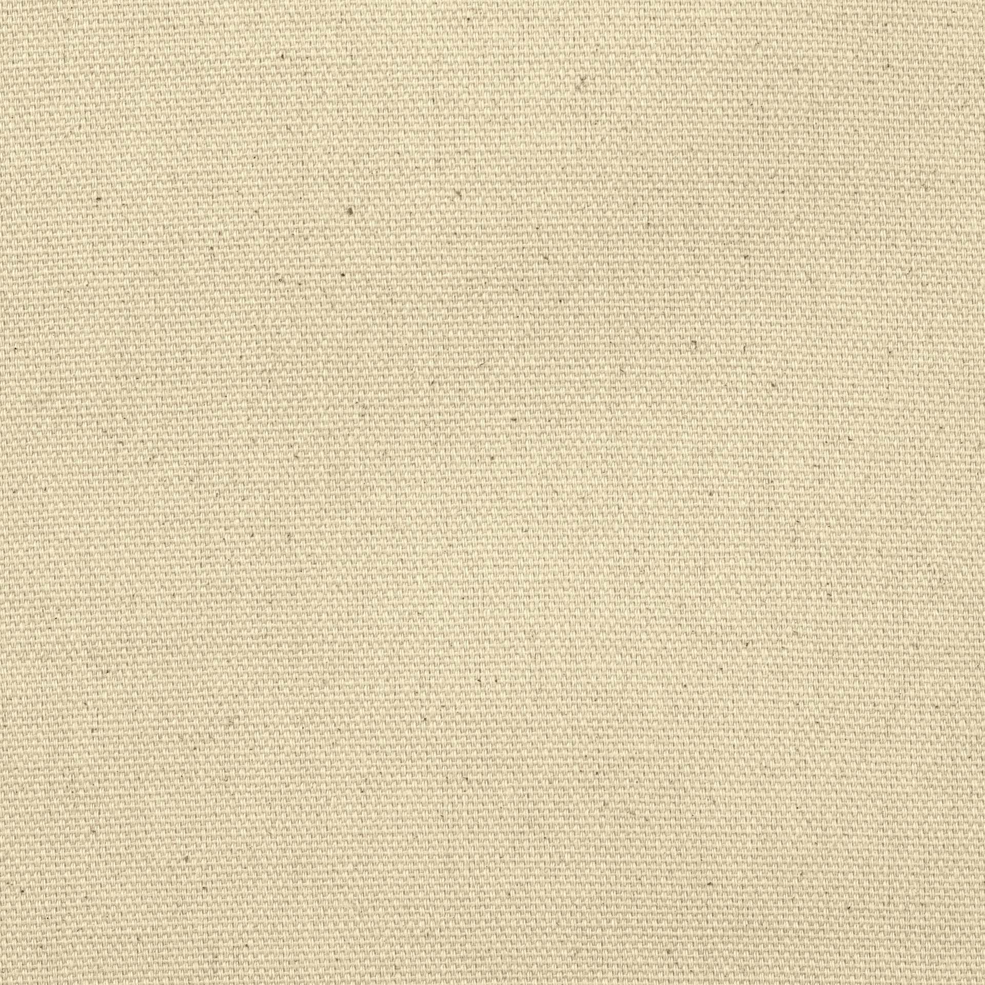 Blick Unprimed Cotton Canvas - Lightweight, Fine Texture, 7oz, 72" x 6 yds close-up of canvas surface