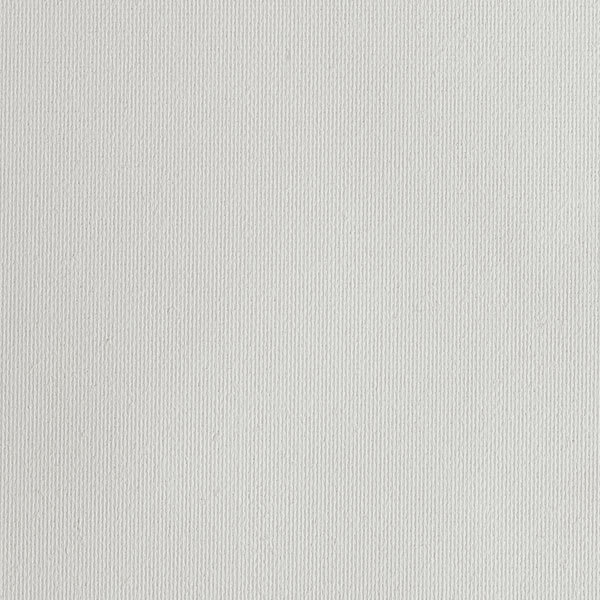 Caravaggio Acrylic-Primed Polyester Canvas Rolls - Swatch of Extra Fine Canvas shown