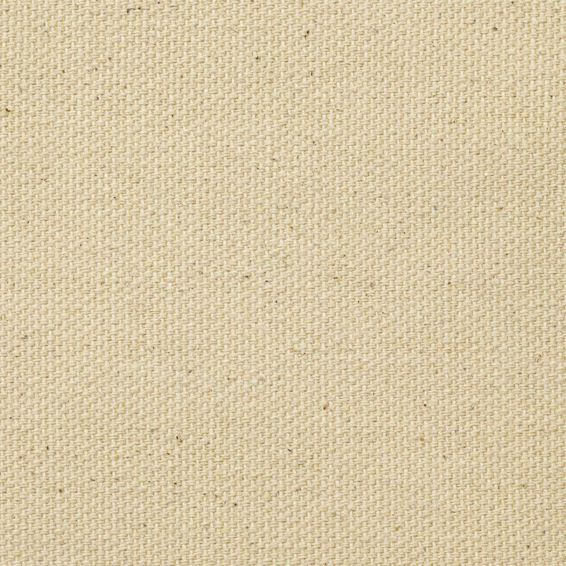 Blick Unprimed Cotton Canvas - Lightweight, Medium Texture, 72" x 1 yd, close-up of canvas