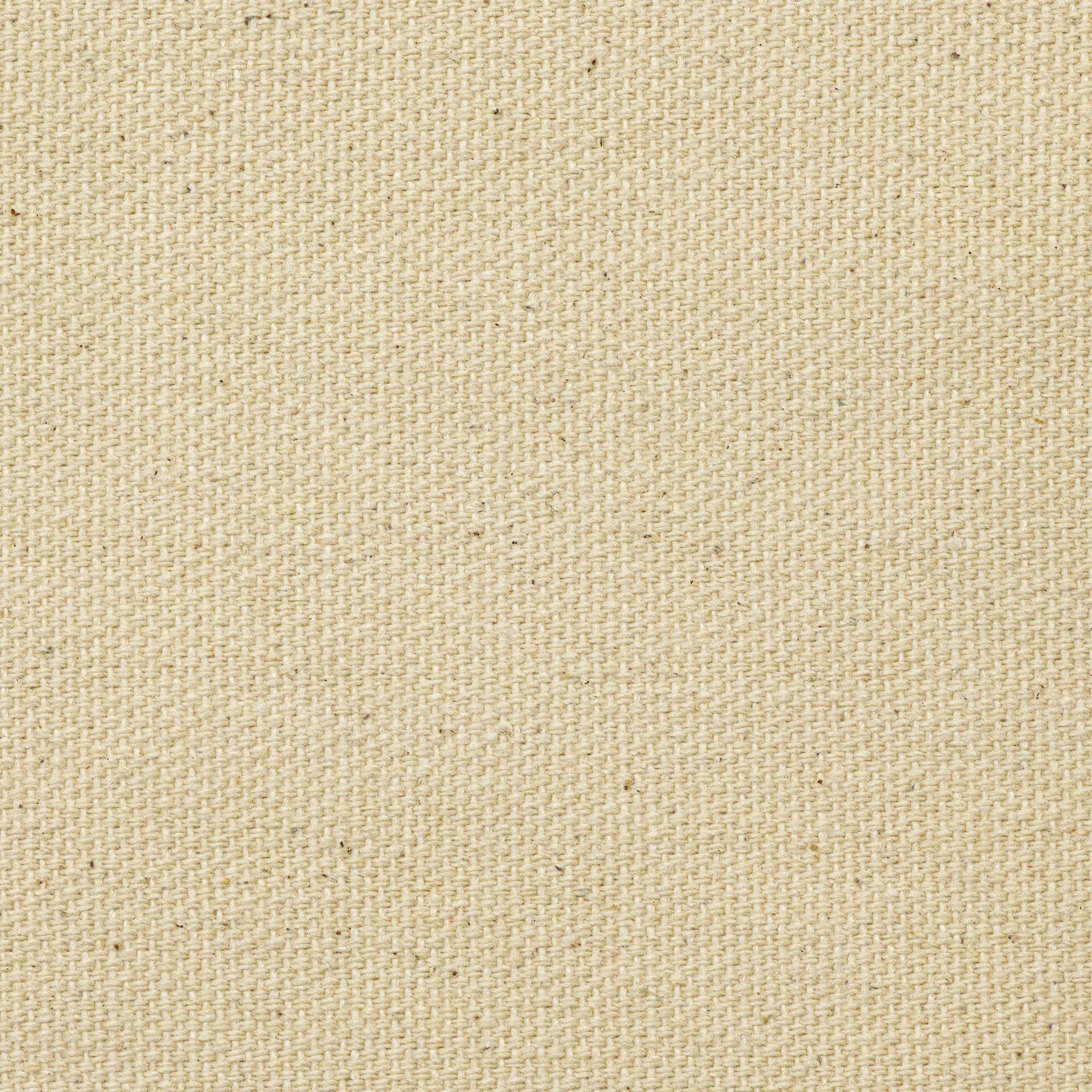 Blick Unprimed Cotton Canvas - Lightweight, Medium Texture, 72" x 50 yds, close-up of canvas