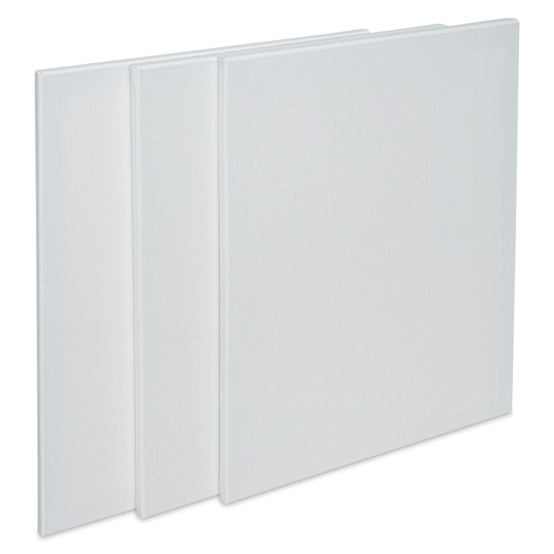 Liquitex Basics Stretched Cotton Canvas Pack - 16" x 20", Pkg of 3 (Out of package)