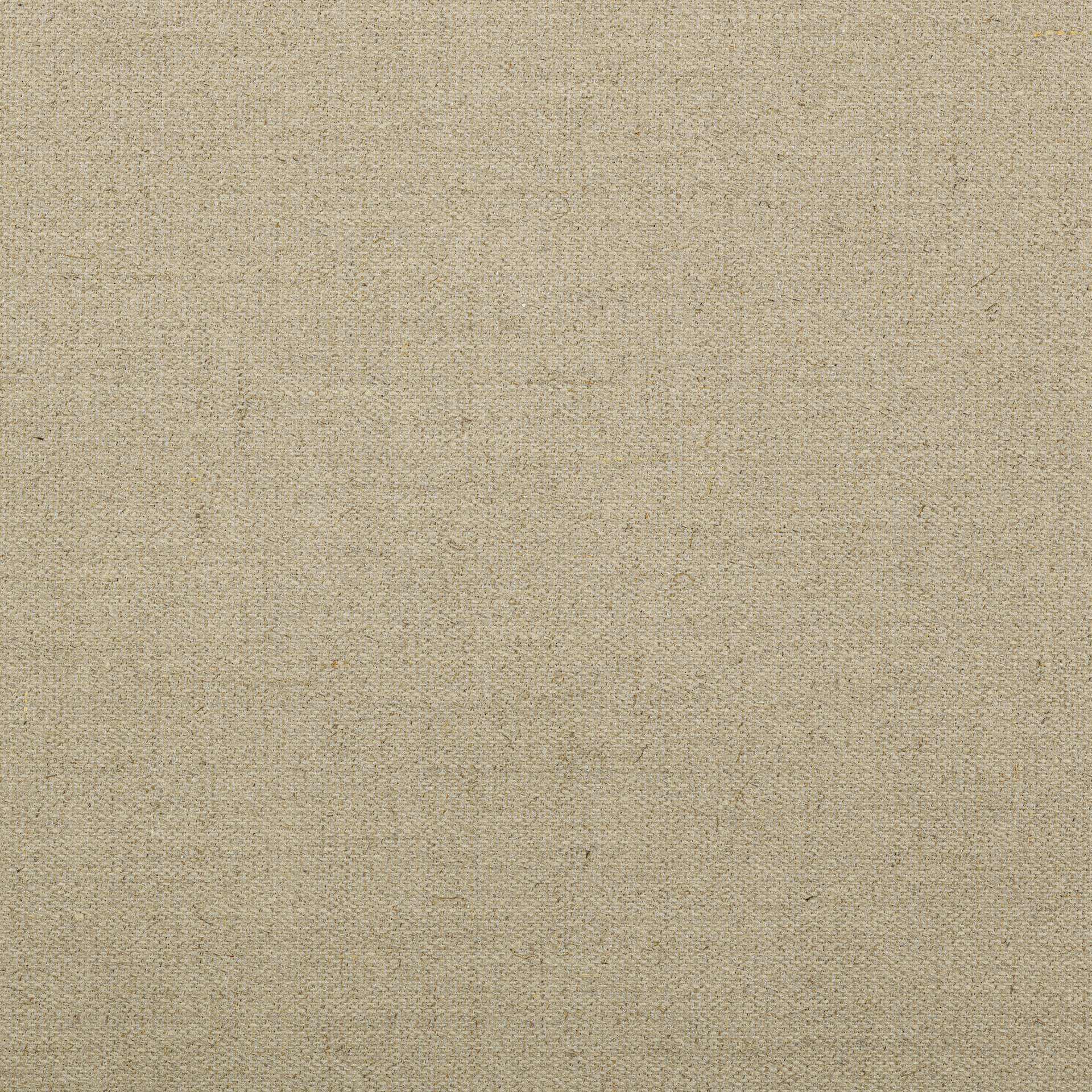 Belle Arti Clear Glue Sized Linen Canvas by the Yard - Medium, 82" x 1 yd, canvas close-up