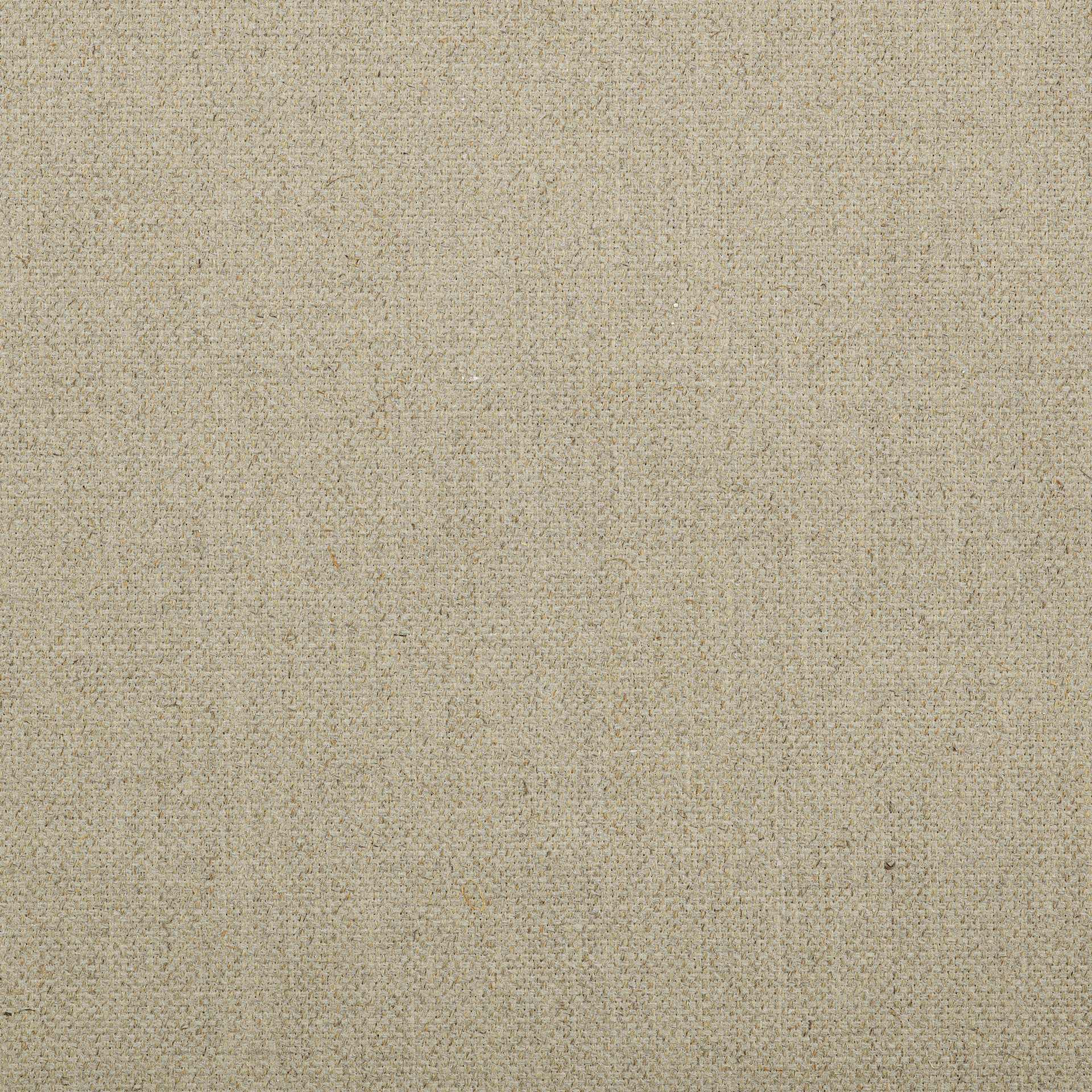 Belle Arti Clear Glue Sized Linen Canvas by the Yard - Rough, 82" x 1 yd, canvas close-up