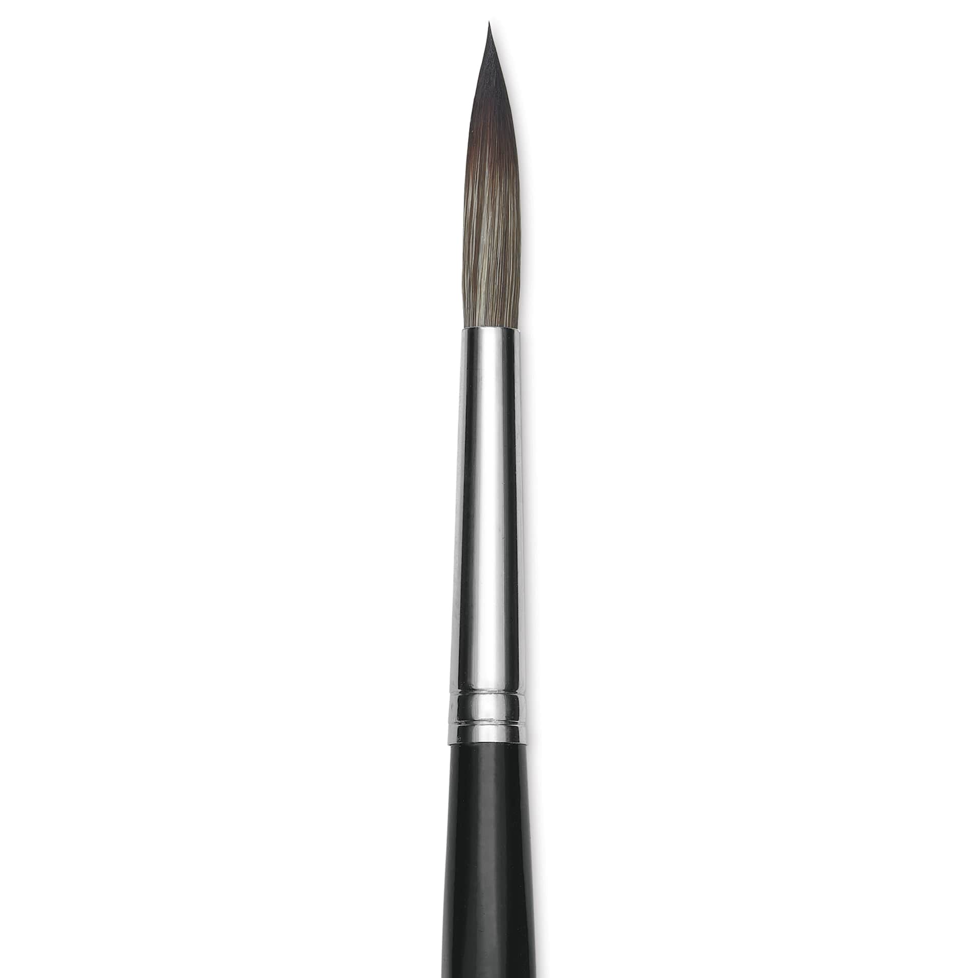Da Vinci Casaneo Synthetic Squirrel Watercolor Brush - Rigger, Size 16, Short Handle, Synthetic, close-up