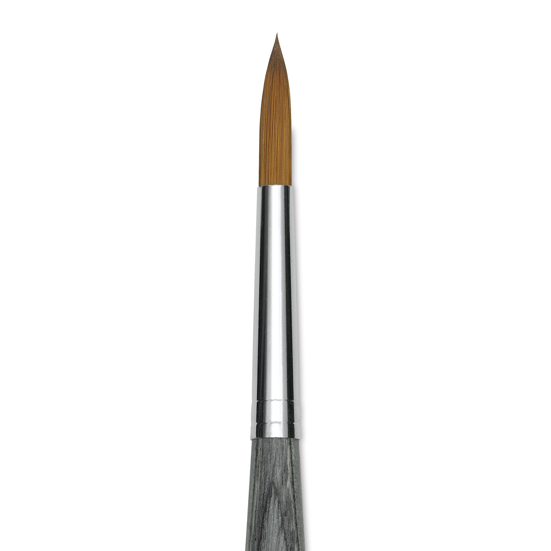 Da Vinci Colineo Synthetic Kolinsky Sable Brush - Round, Size 8, Short Handle (close-up)
