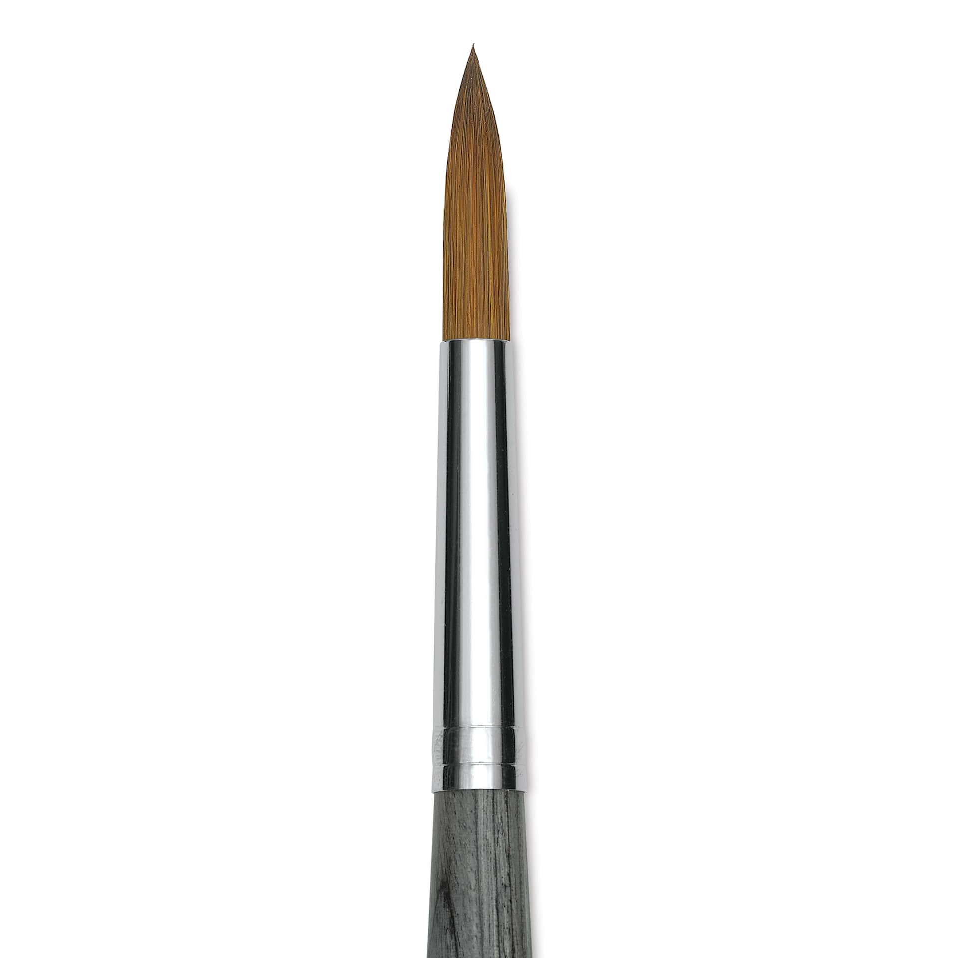 Da Vinci Colineo Synthetic Kolinsky Sable Brush - Round, Size 10, Short Handle (close-up)