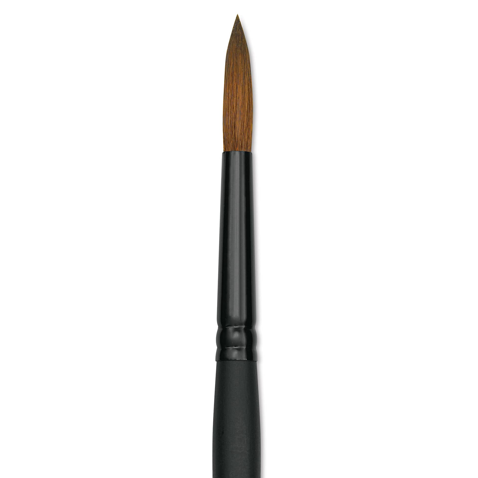 Raphaël Stradivarius Synthetic Kolinsky Sable Brush - Round, Size 8, Short Handle (close-up)