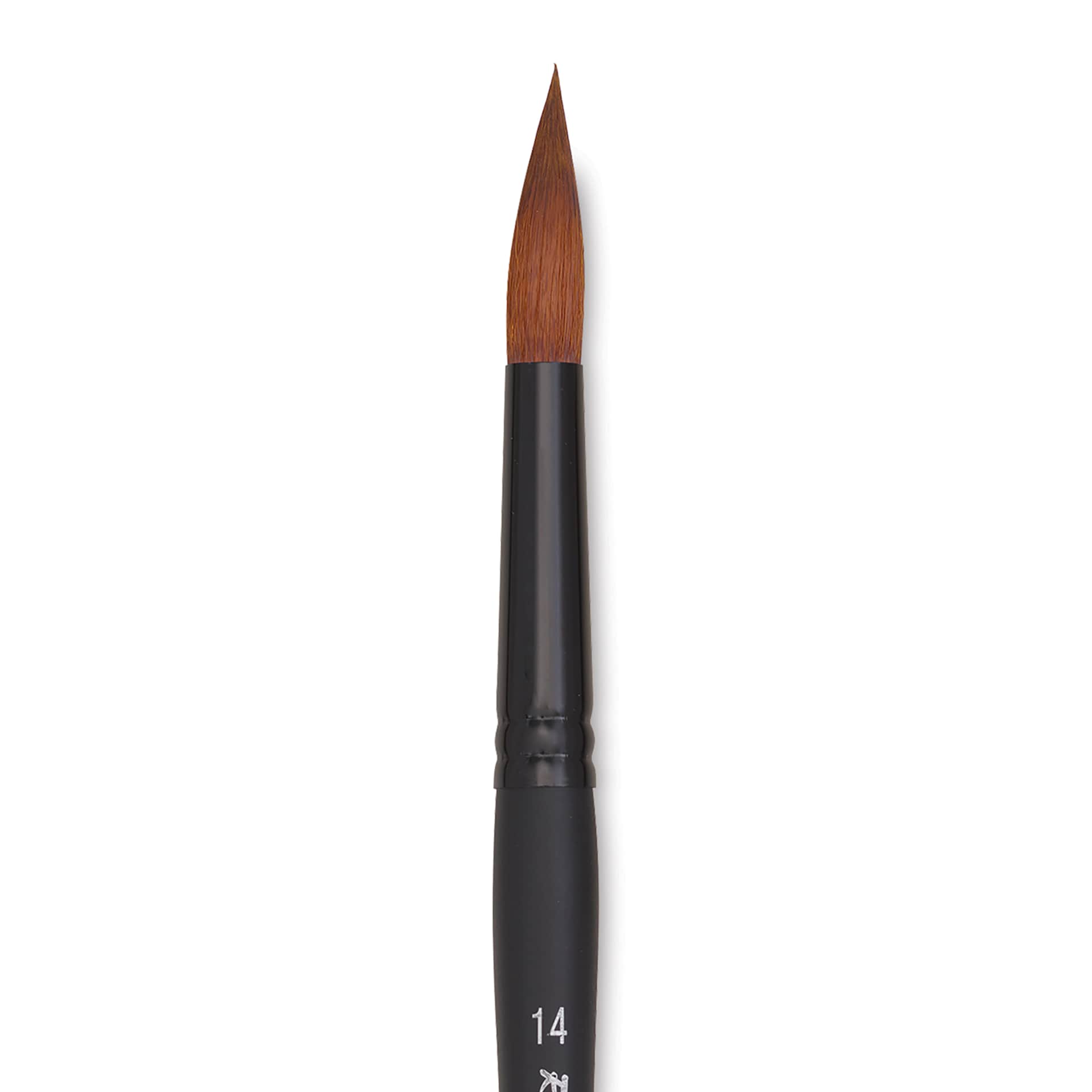 Raphaël Stradivarius Synthetic Kolinsky Sable Brush - Round, Size 14, Short Handle, close-up