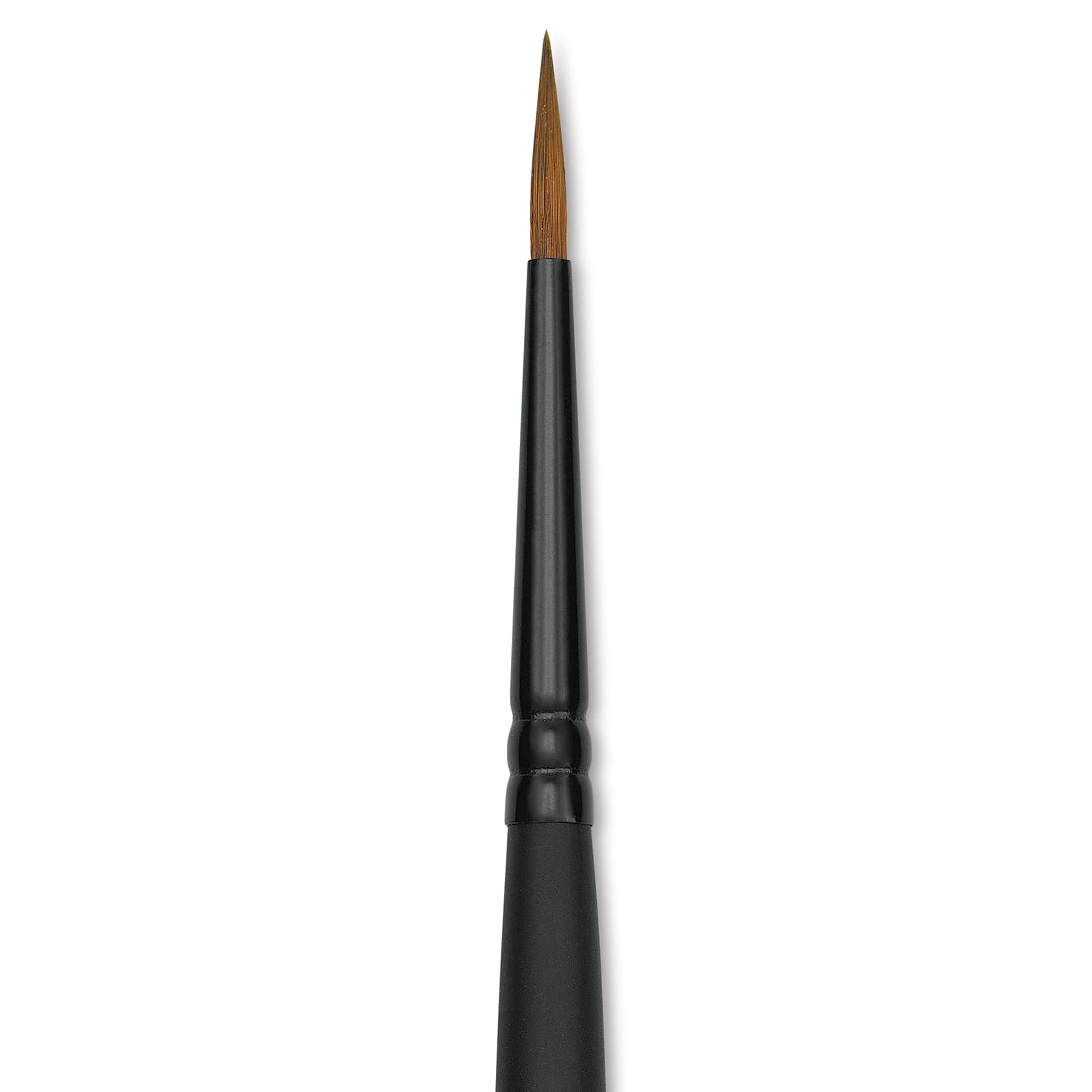 Raphaël Stradivarius Synthetic Kolinsky Sable Brush - Round Sharp, Size 0, Short Handle (close-up)