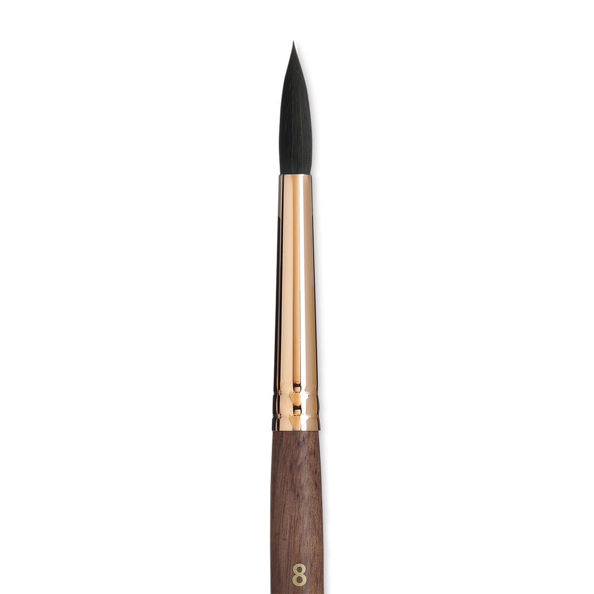 Princeton Neptune Synthetic Squirrel Brush - Round, Short Handle, Size 8 close up
