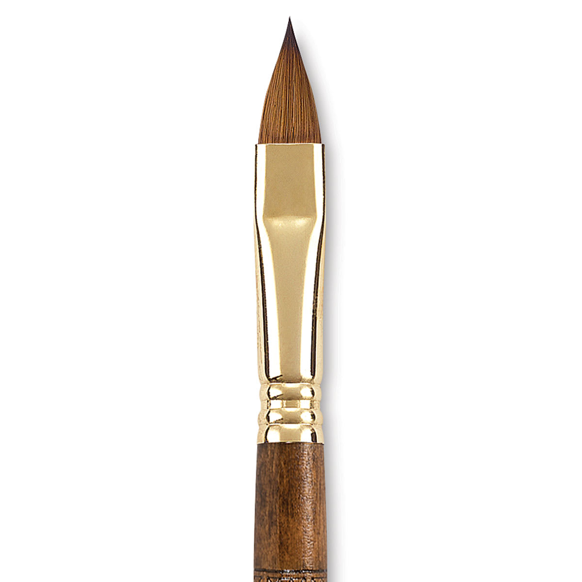 Escoda Reserva Kolinsky-Tajmyr Sable Brush - Filbert, Short Handle, Size 12 (close-up)