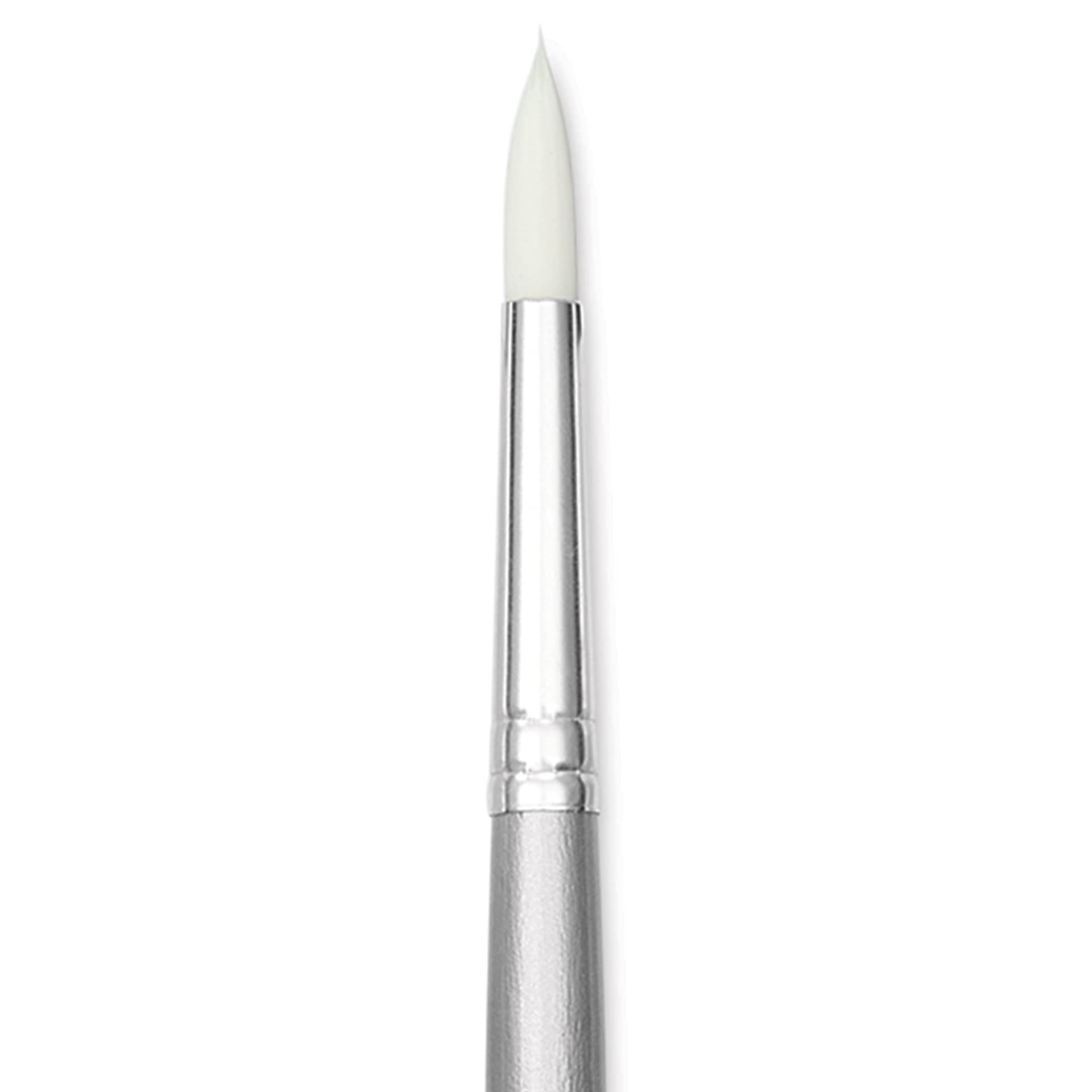 Liquitex Basics Synthetic Brush - Round, Long Handle, Size 5, close-up