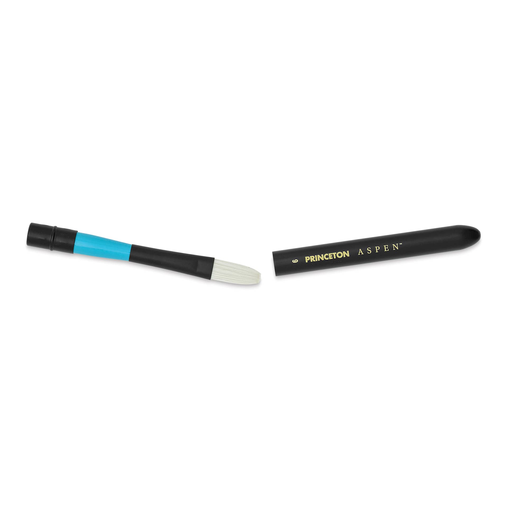Princeton Aspen Series 6500 Synthetic Travel Brush - Flat, Size 6 cap separated from handle