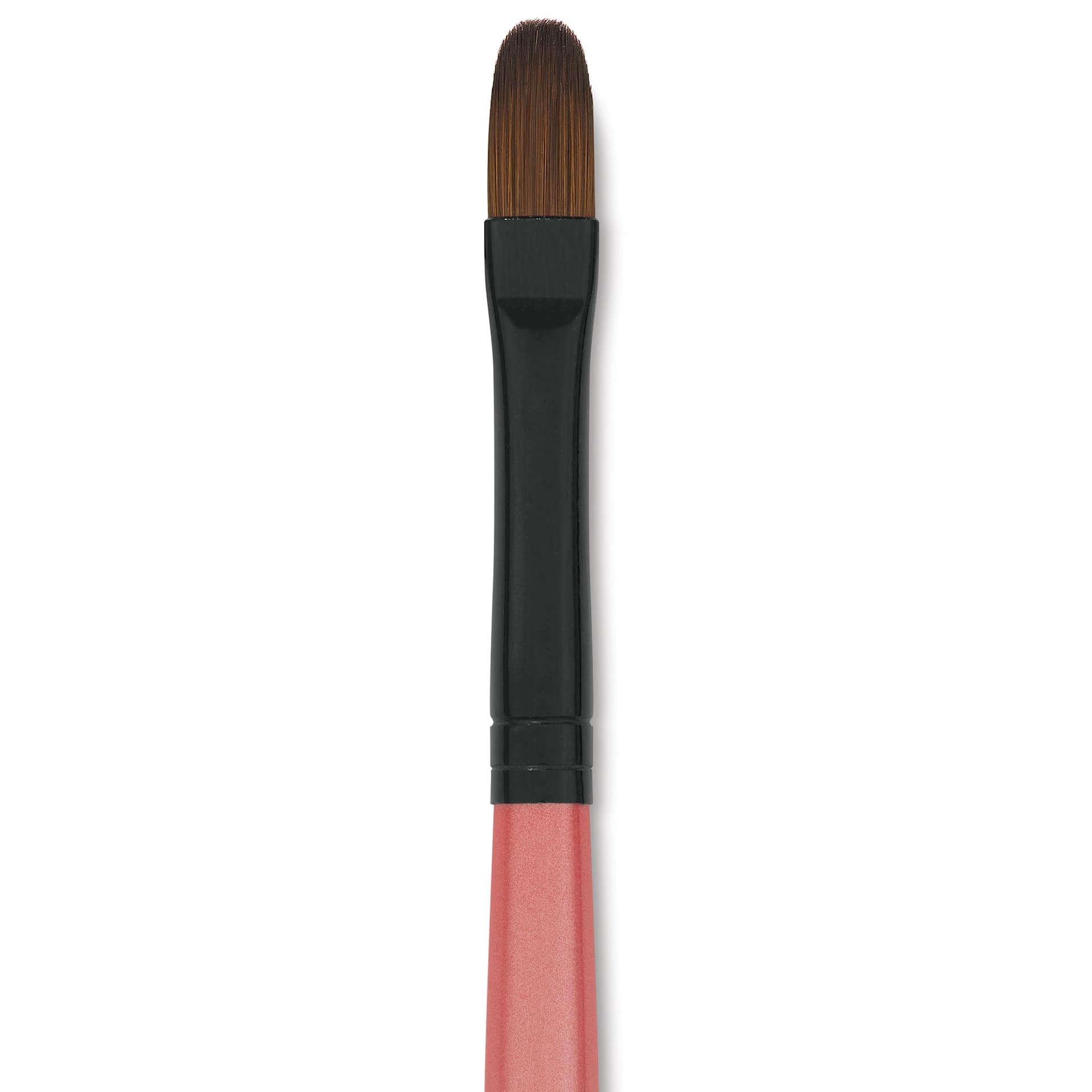 Dynasty Water Lily Watercolor Brush - Short Handle, Filbert, Size 8, close-up