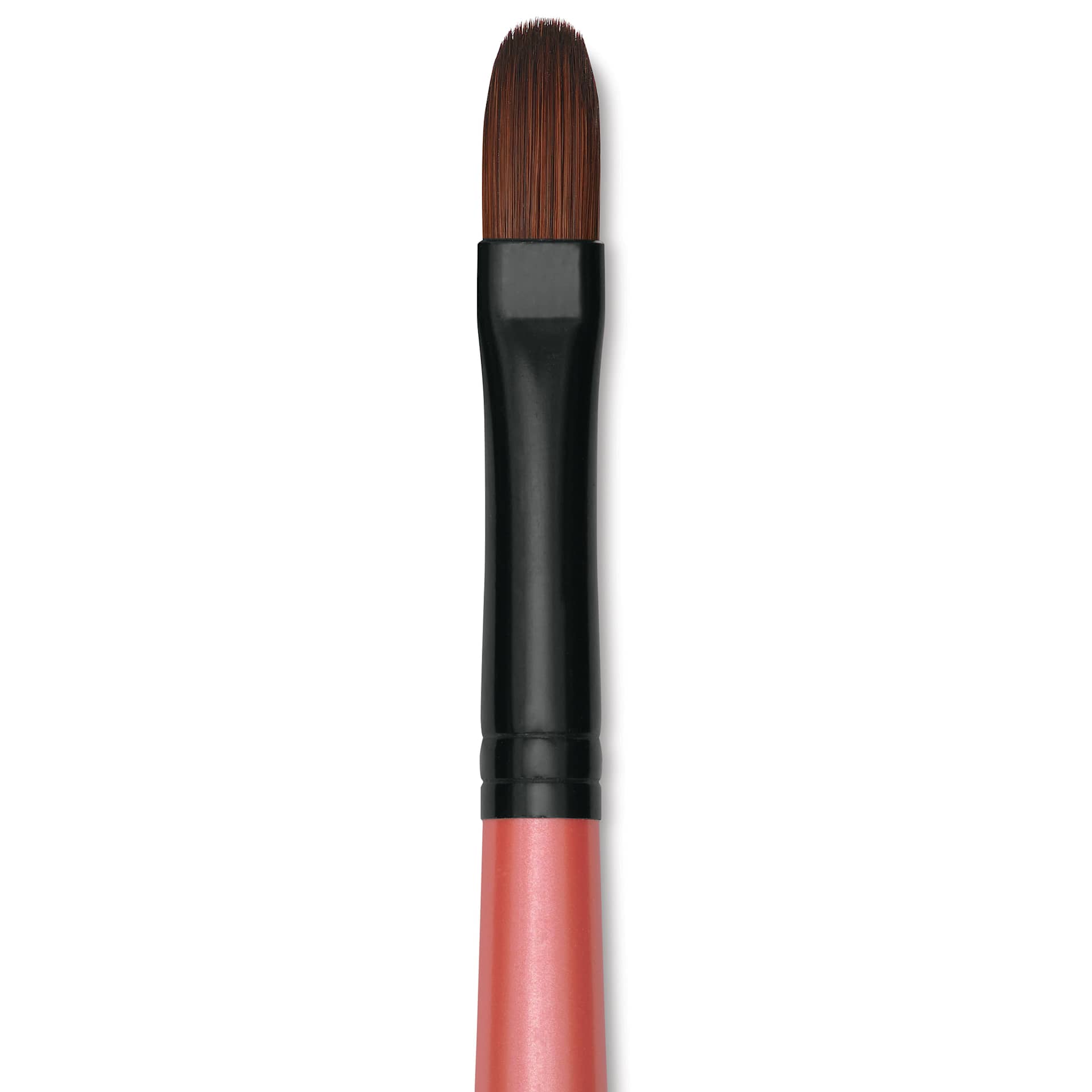 Dynasty Water Lily Watercolor Brush - Short Handle, Filbert, Size 10, close-up