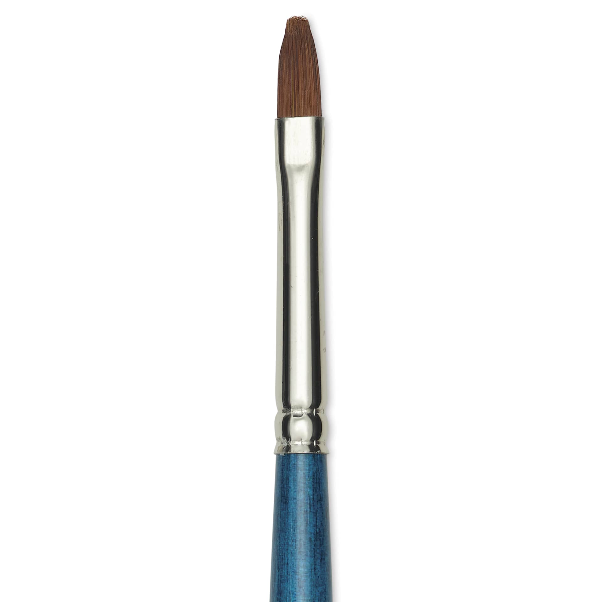 Silver Brush BelleAqua Brush - Cats Tongue, Short Handle, Size 4, close-up