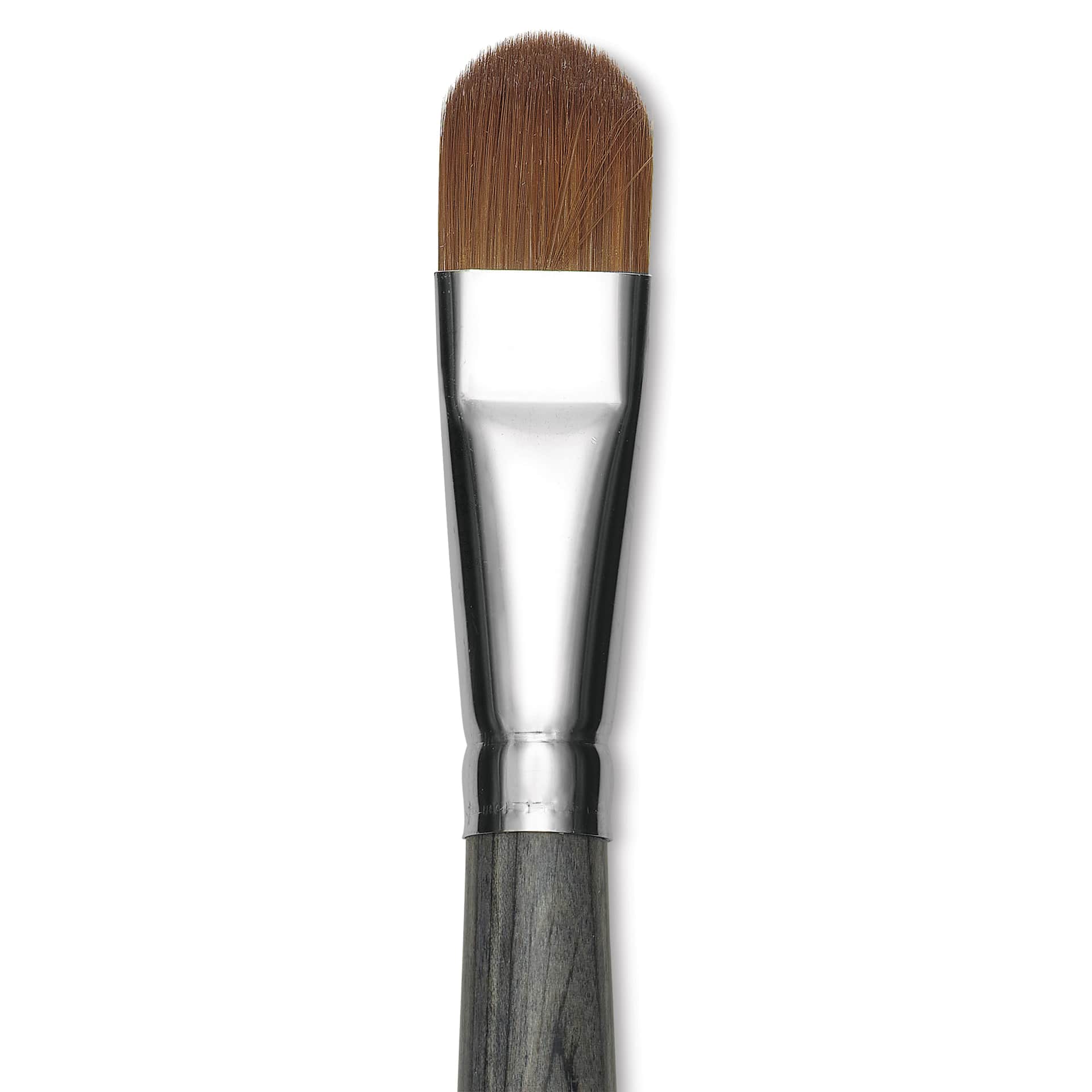 Da Vinci Colineo Synthetic Kolinsky Sable Brush - Filbert, Size 16, Long Handle, close-up